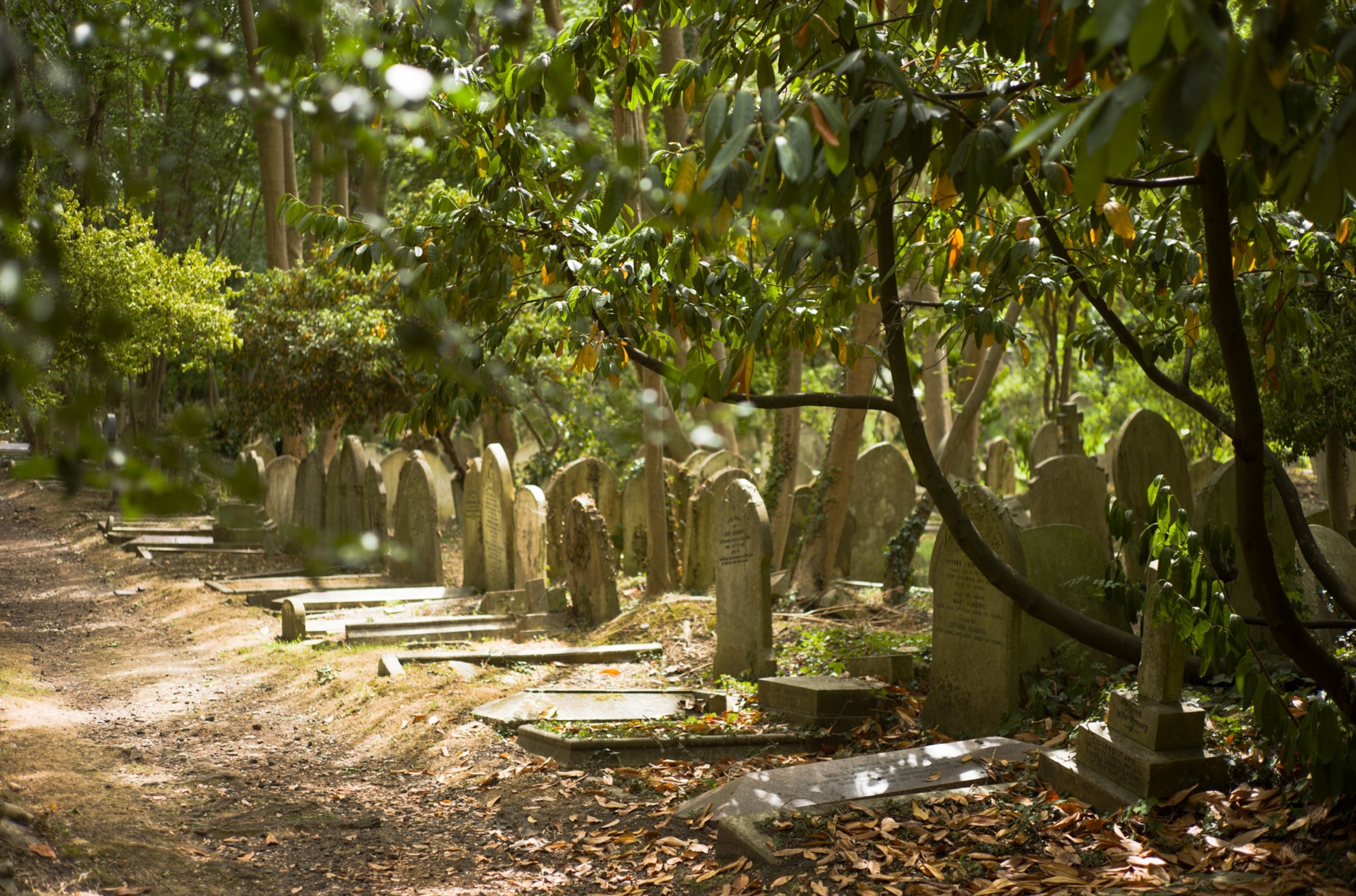 Footpath at Highgate Cemetery London with graves alomgside