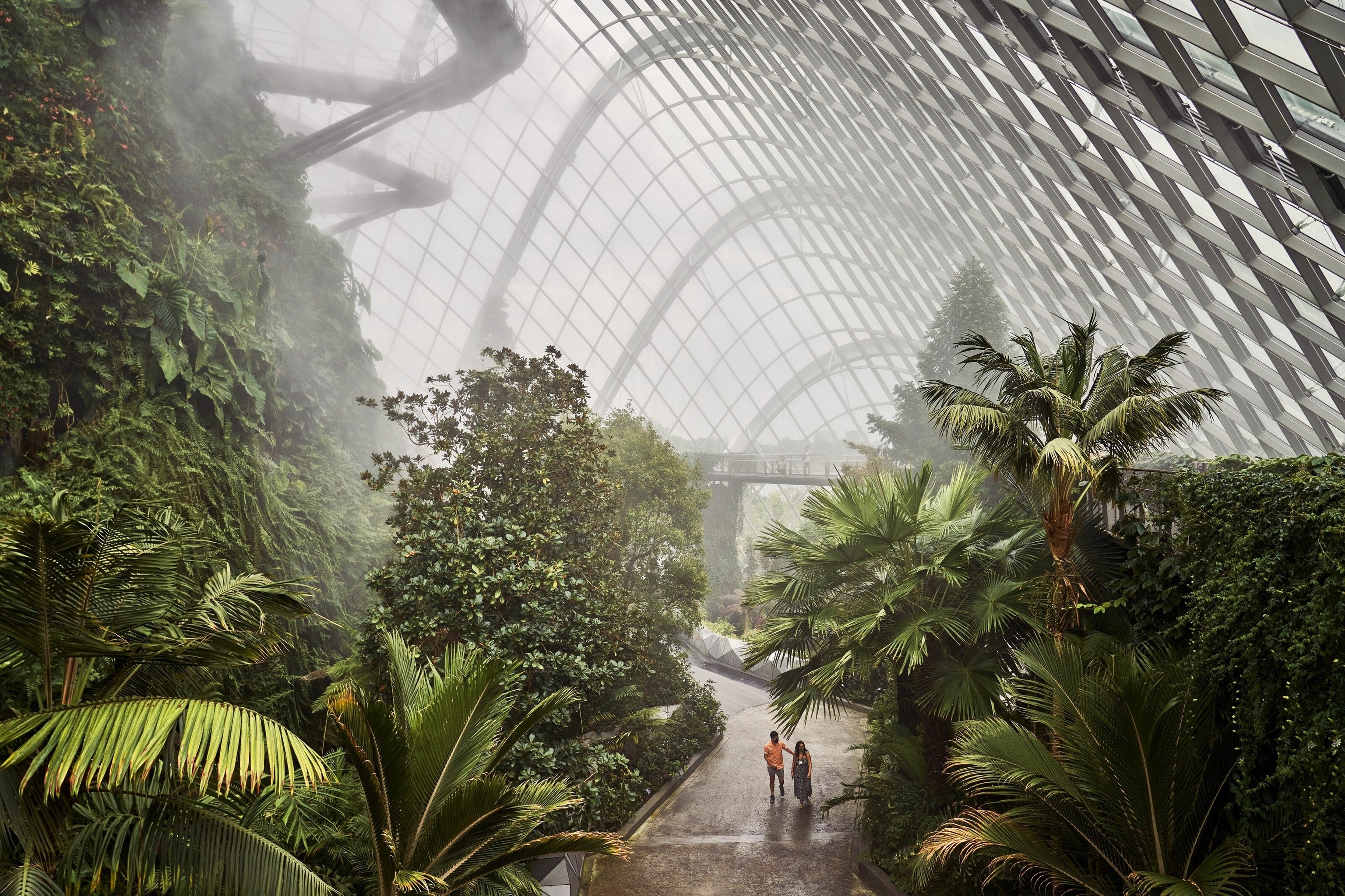 The Cloud Forest at Gardens by the Bay.