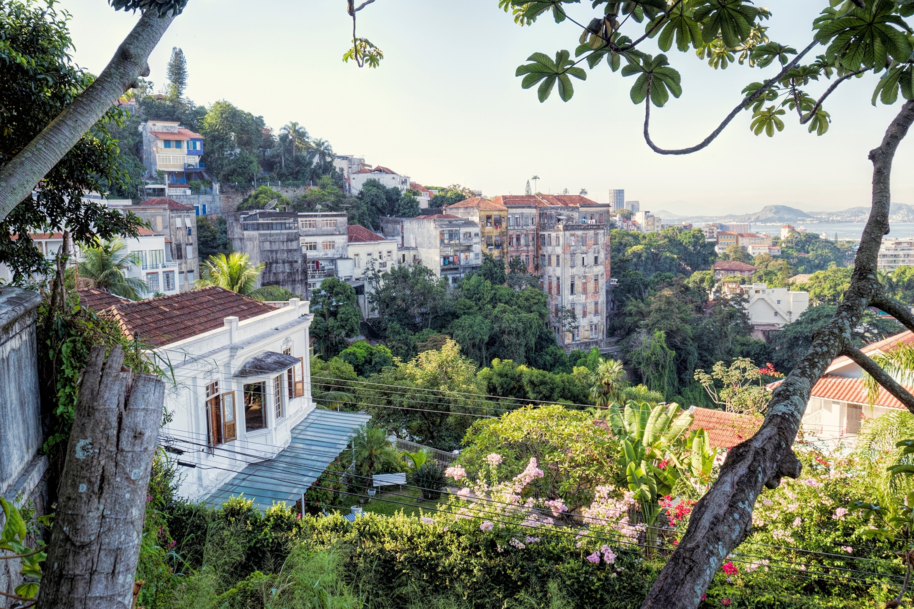 The hills of Rio de Janeiro.