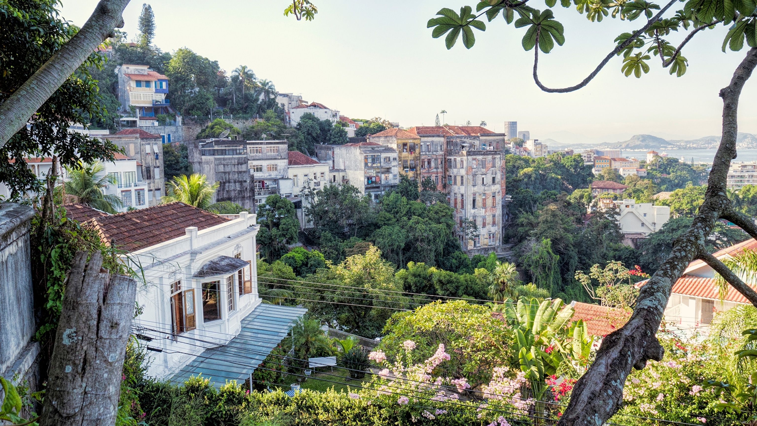 What to Eat in Rio, According to a Local Chef