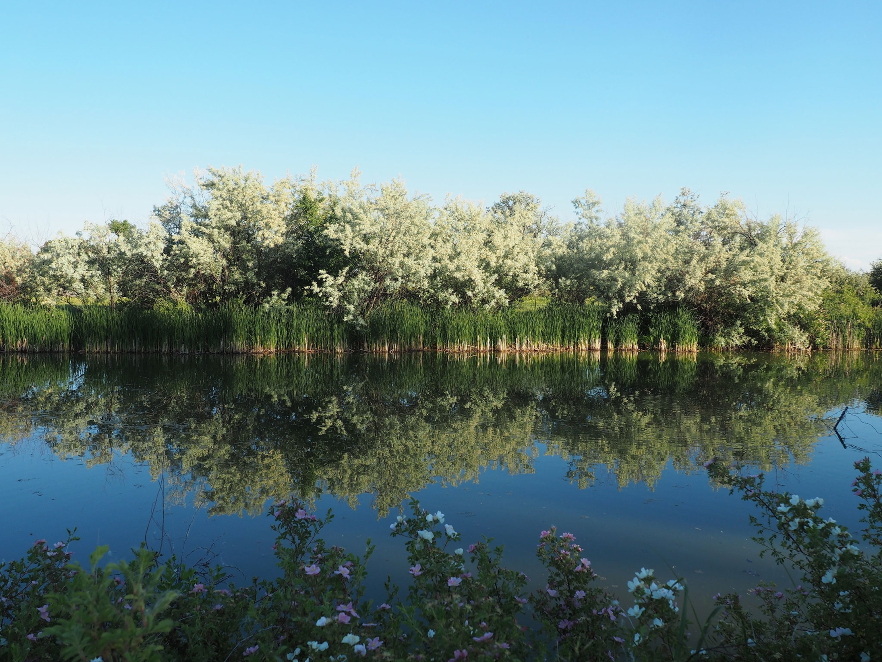 reflections on the Little Big Horn River
