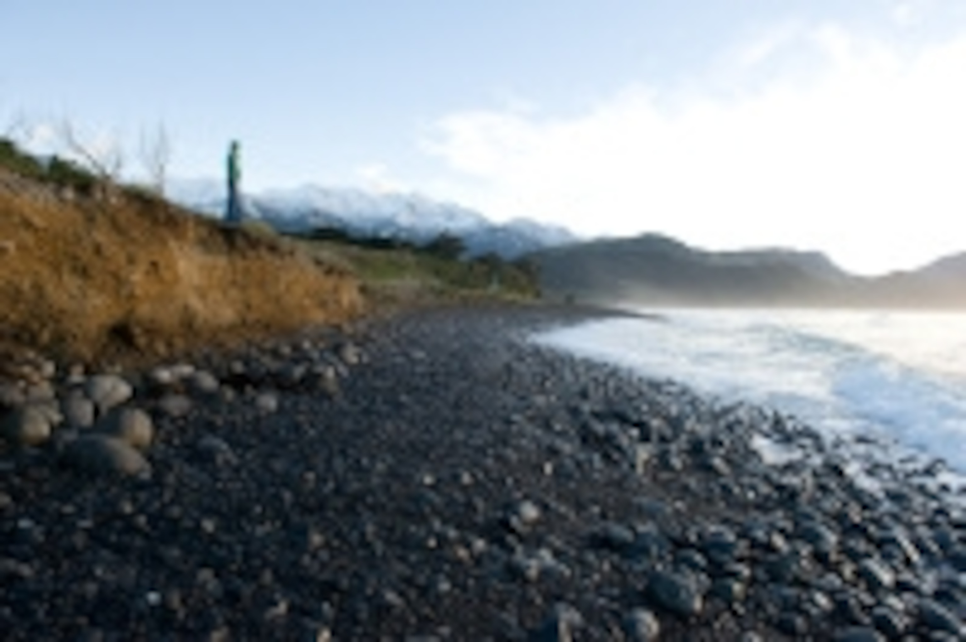 200806_nga_newzealand_1500