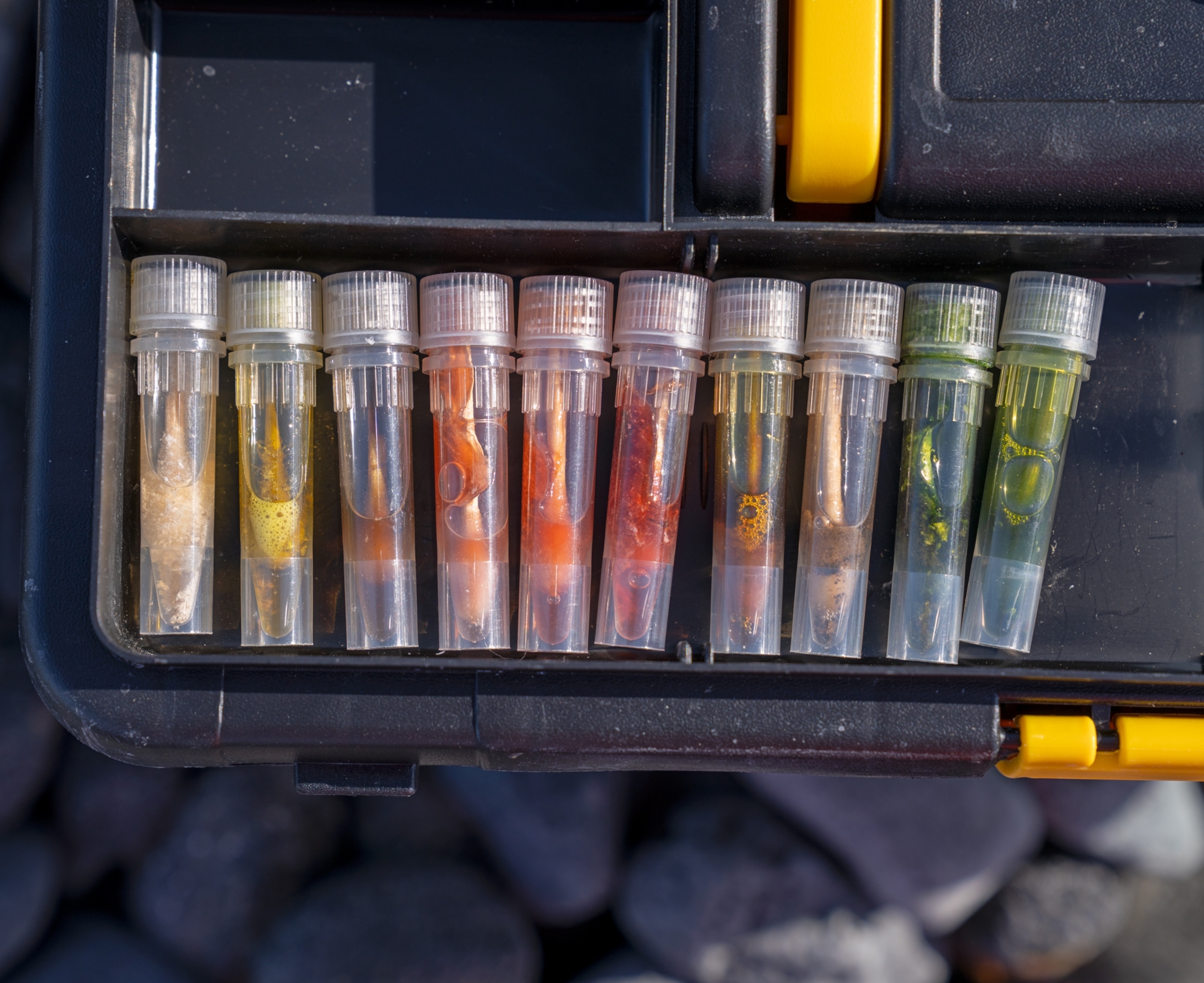 Ten vials with colorful samples.