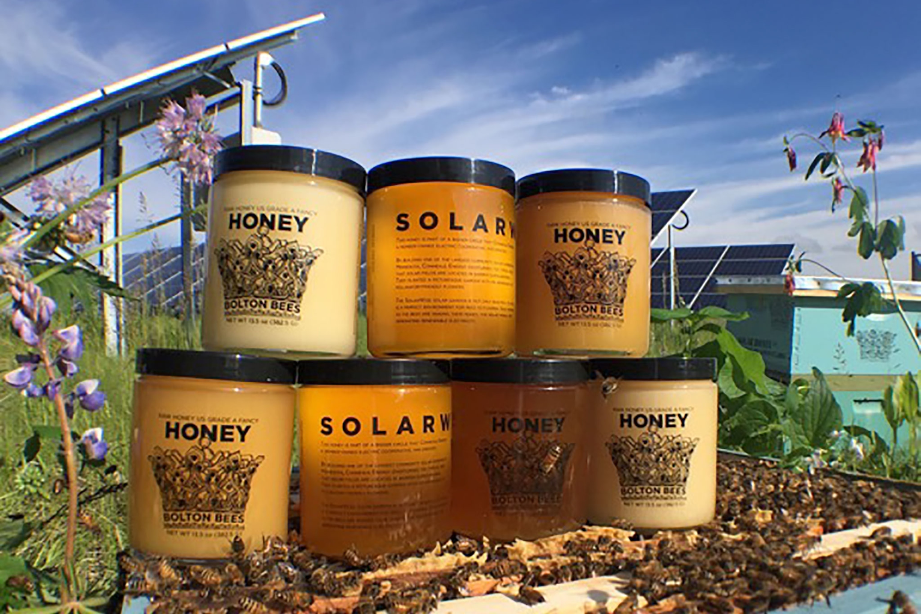 honey jars