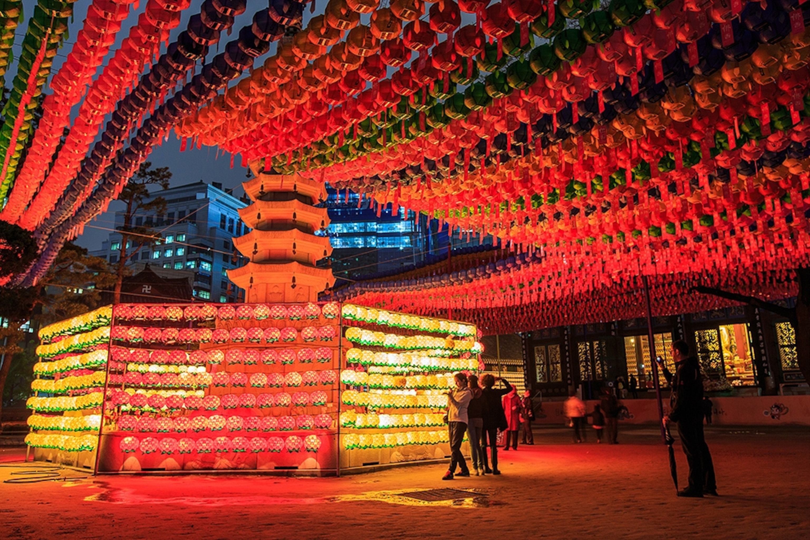 lotus lanterns at Buddhist temple, Seoul