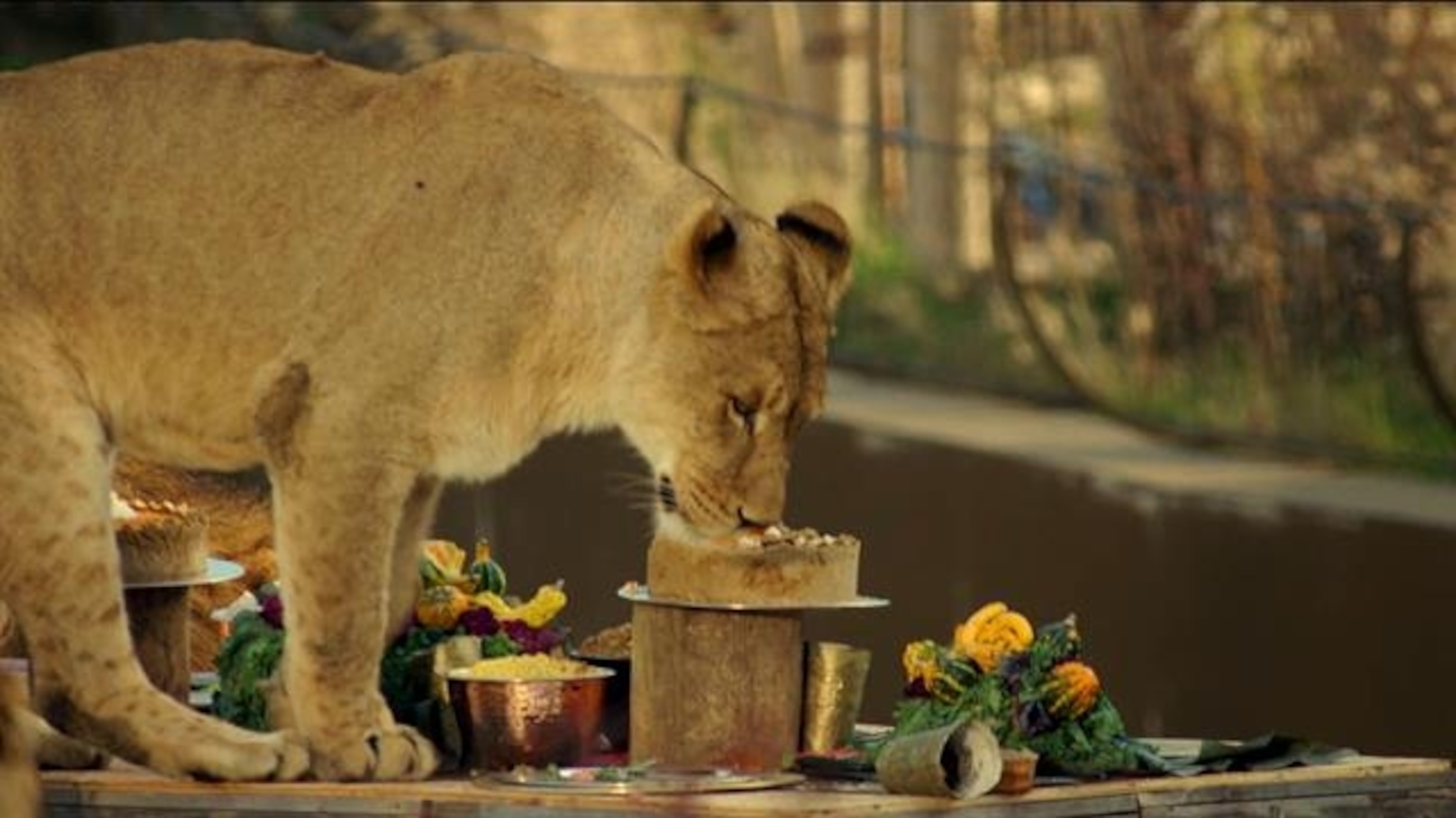 The First Thanksgiving Happened Earlier Than You Think