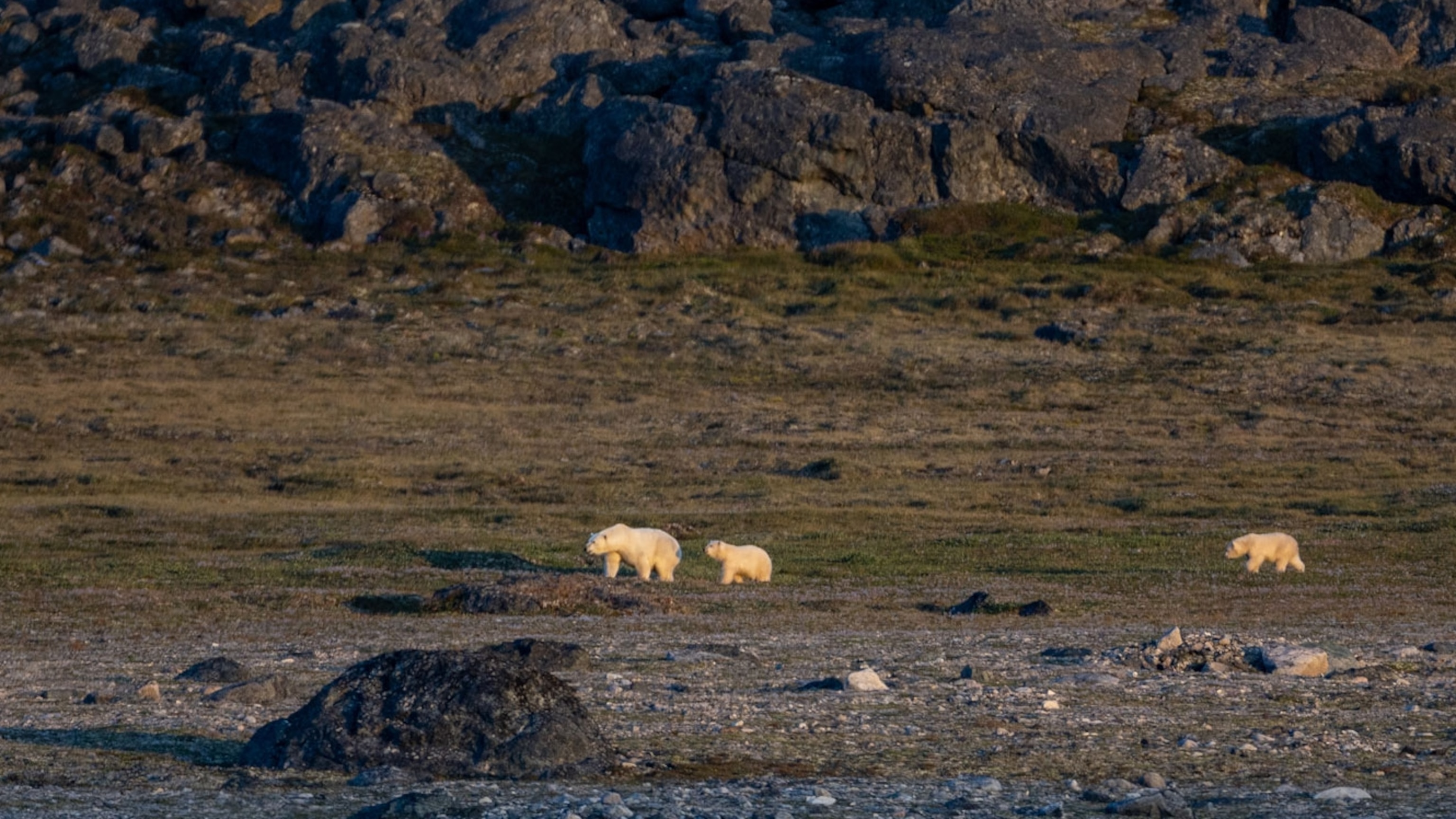 Inside the fight to protect Canada’s most iconic bays