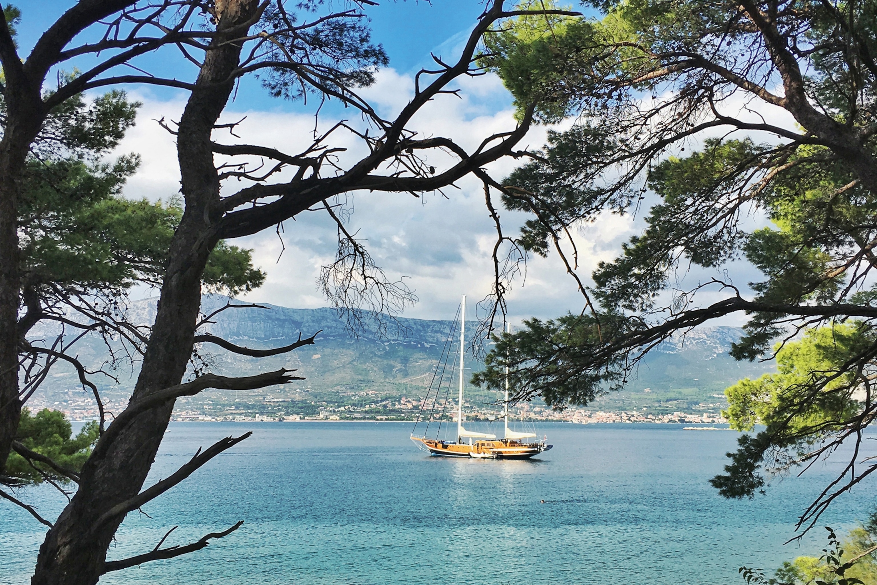 A sailing boat anchored off the shores of a sea-side town, shot through a forest opening.