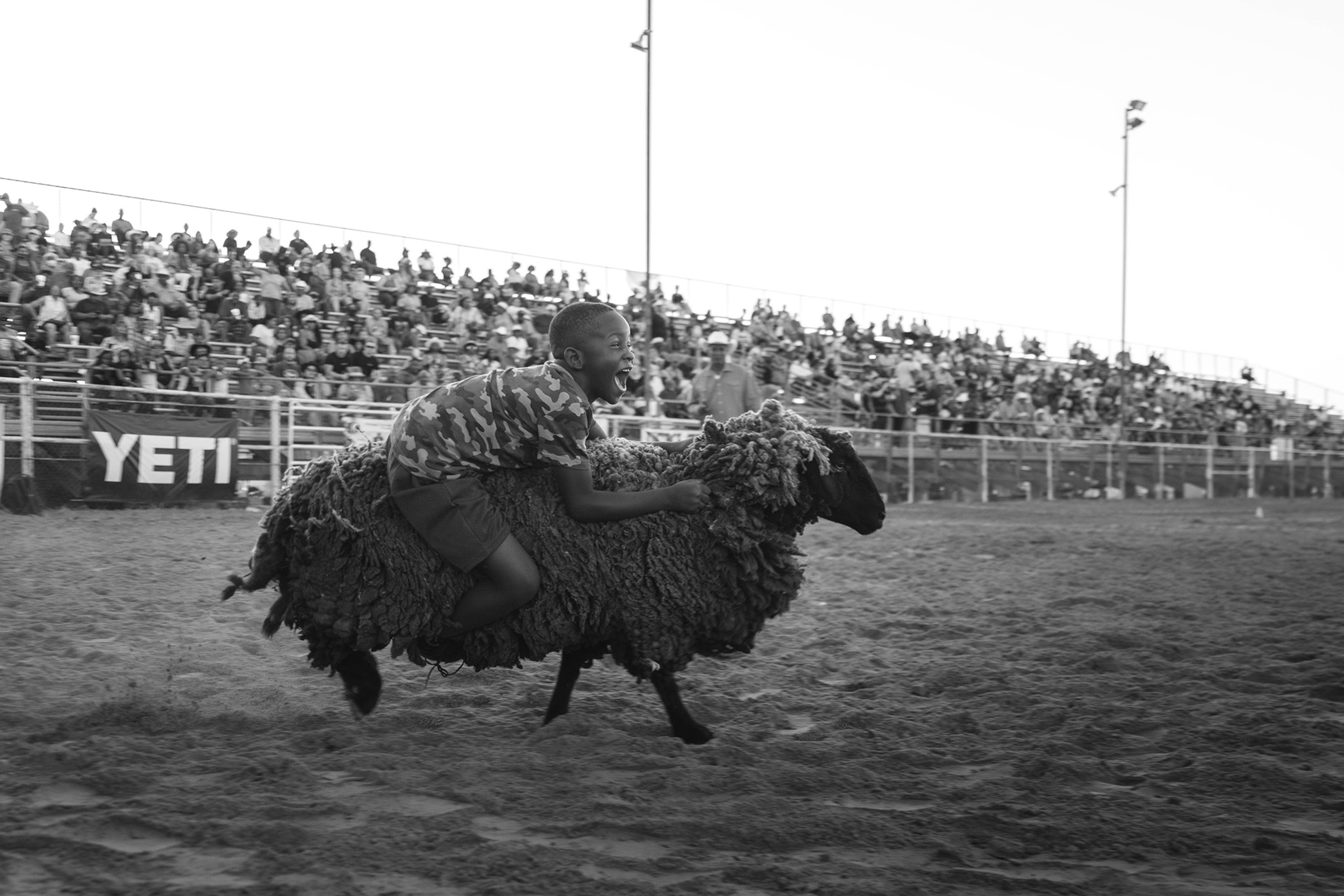 A black-and-white photo of a small boy smiling while holding onto the fur of a racing sheep as a crowd watches from the stands.