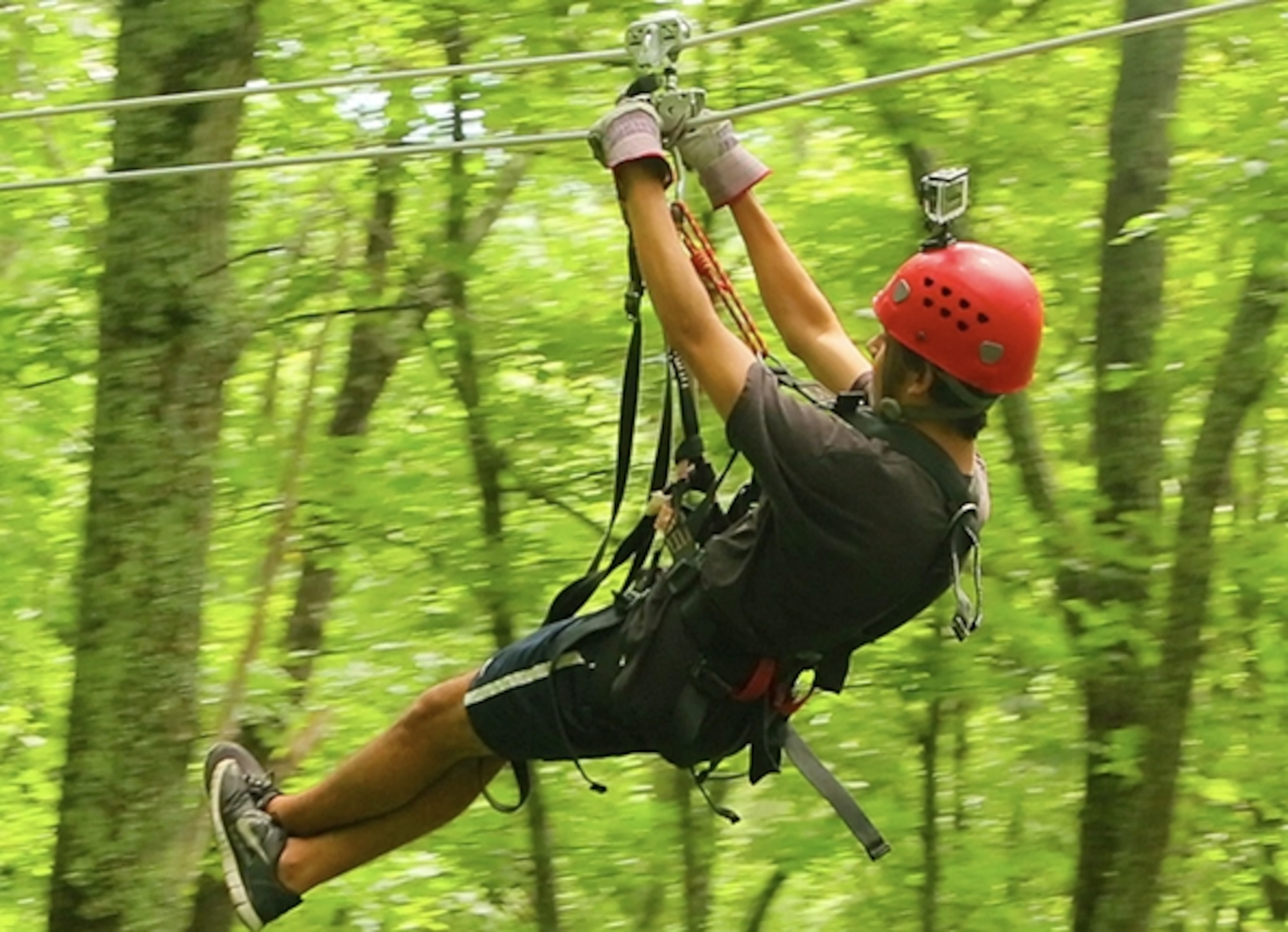 Booker Ziplining with Navitat Canopy Adventures (Photograph courtesy Booker Travels)