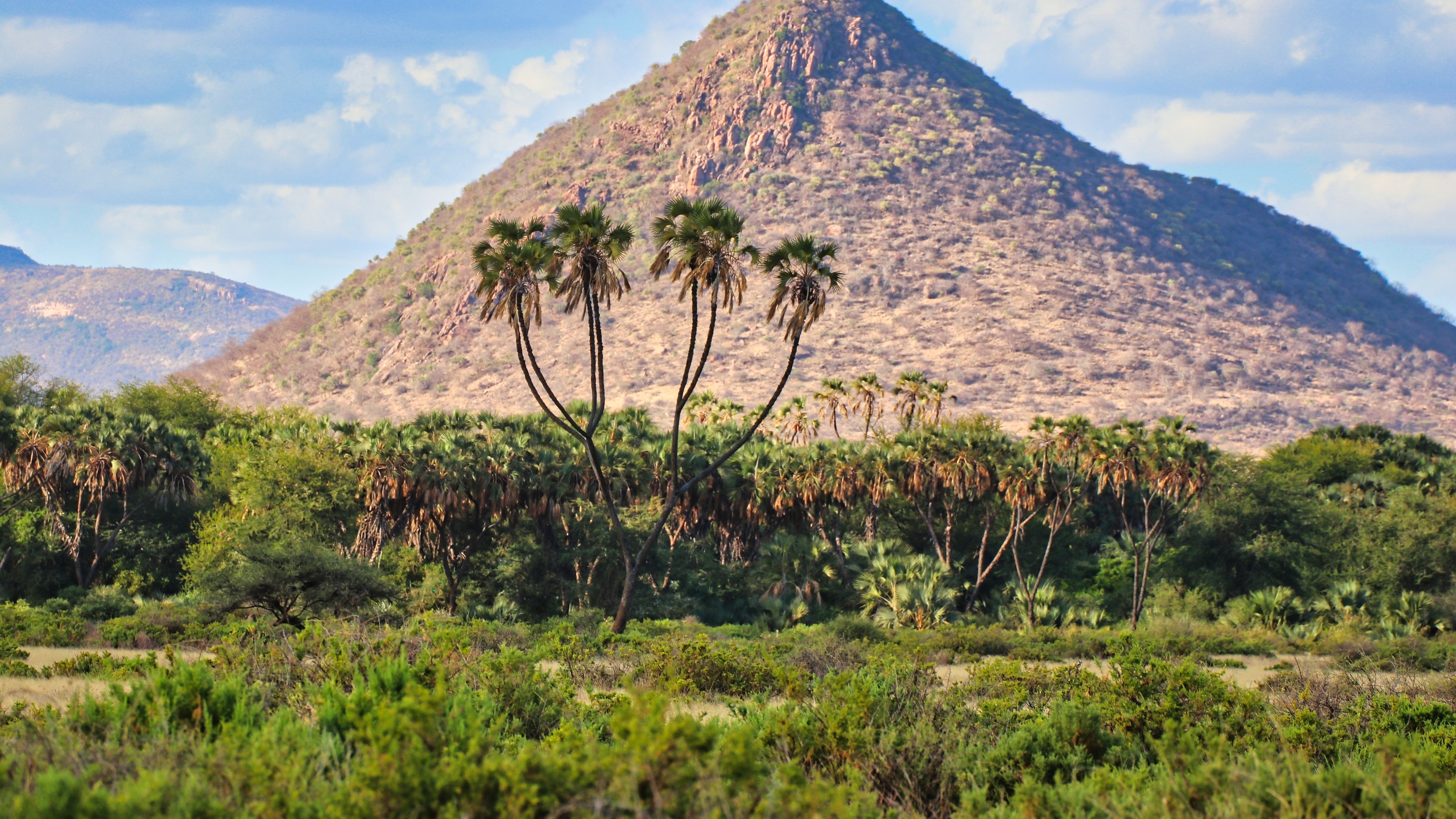 Five ways to discover Samburu, Kenya's wild north