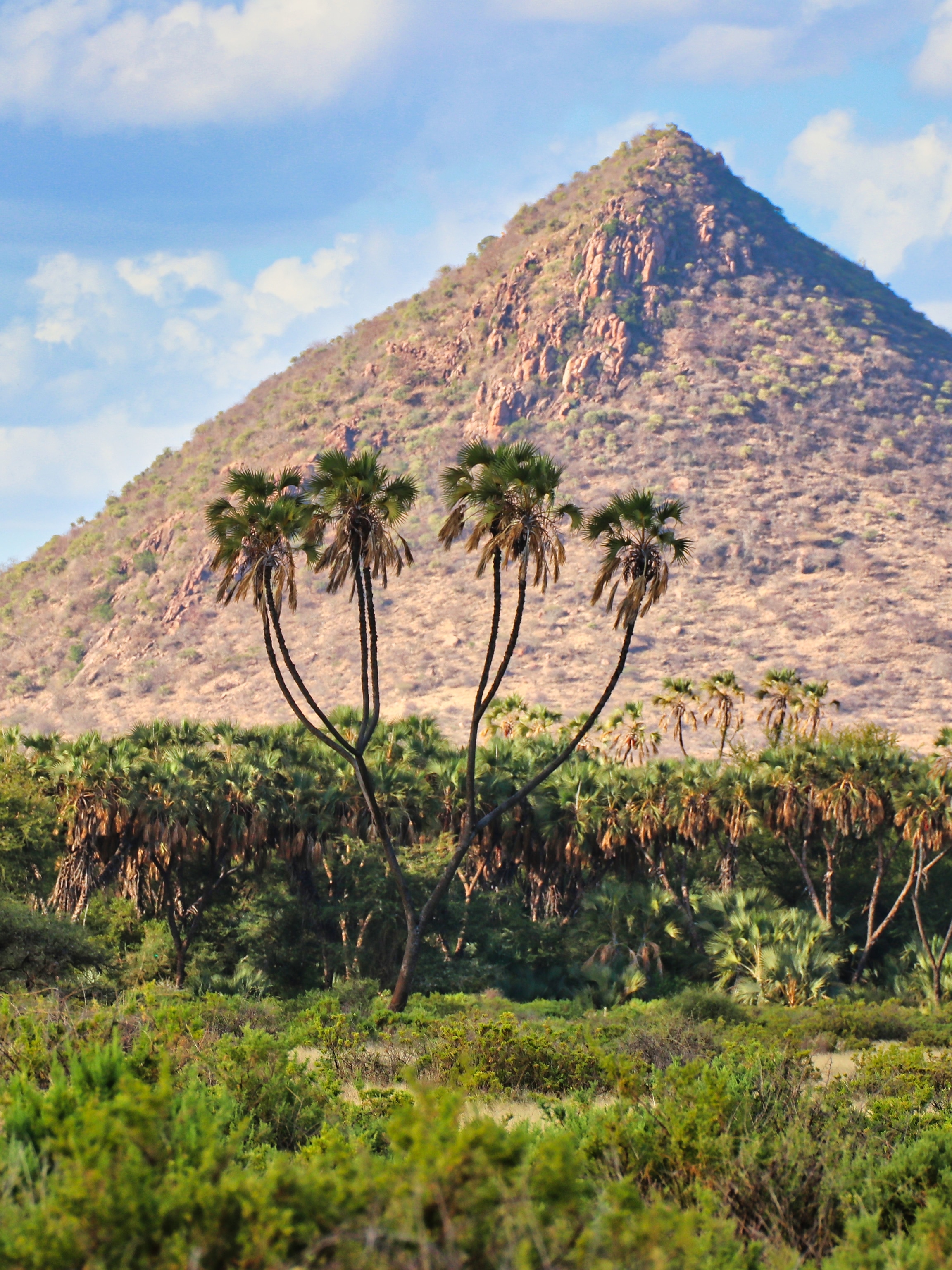 Five ways to discover Samburu, Kenya's wild north | National Geographic