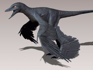 Dragon Like Feathered Dinosaur Was Ace Flyer National Geographic