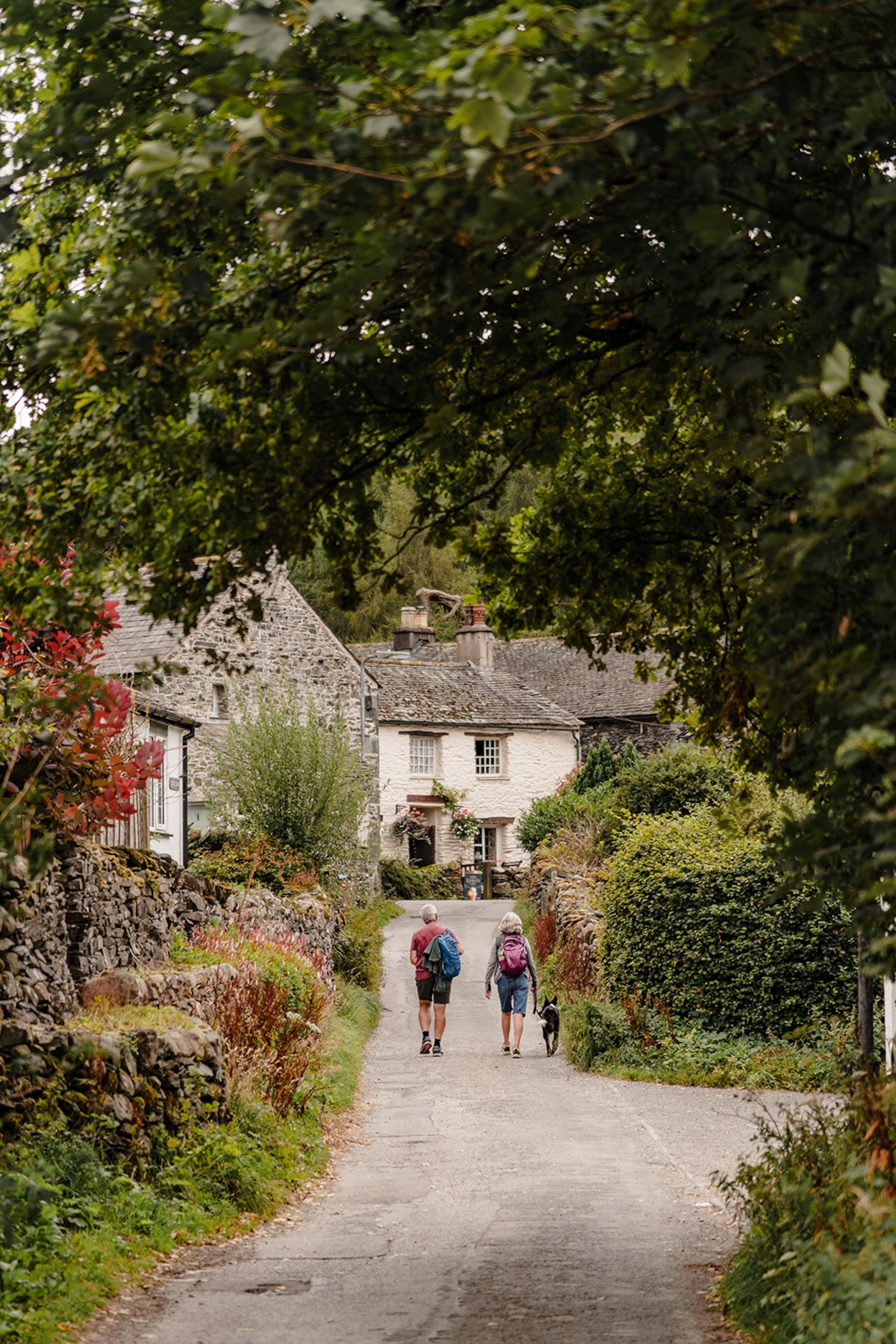 Hikers walking down a rural village path in thick vegetation with a stone cottage on the side.