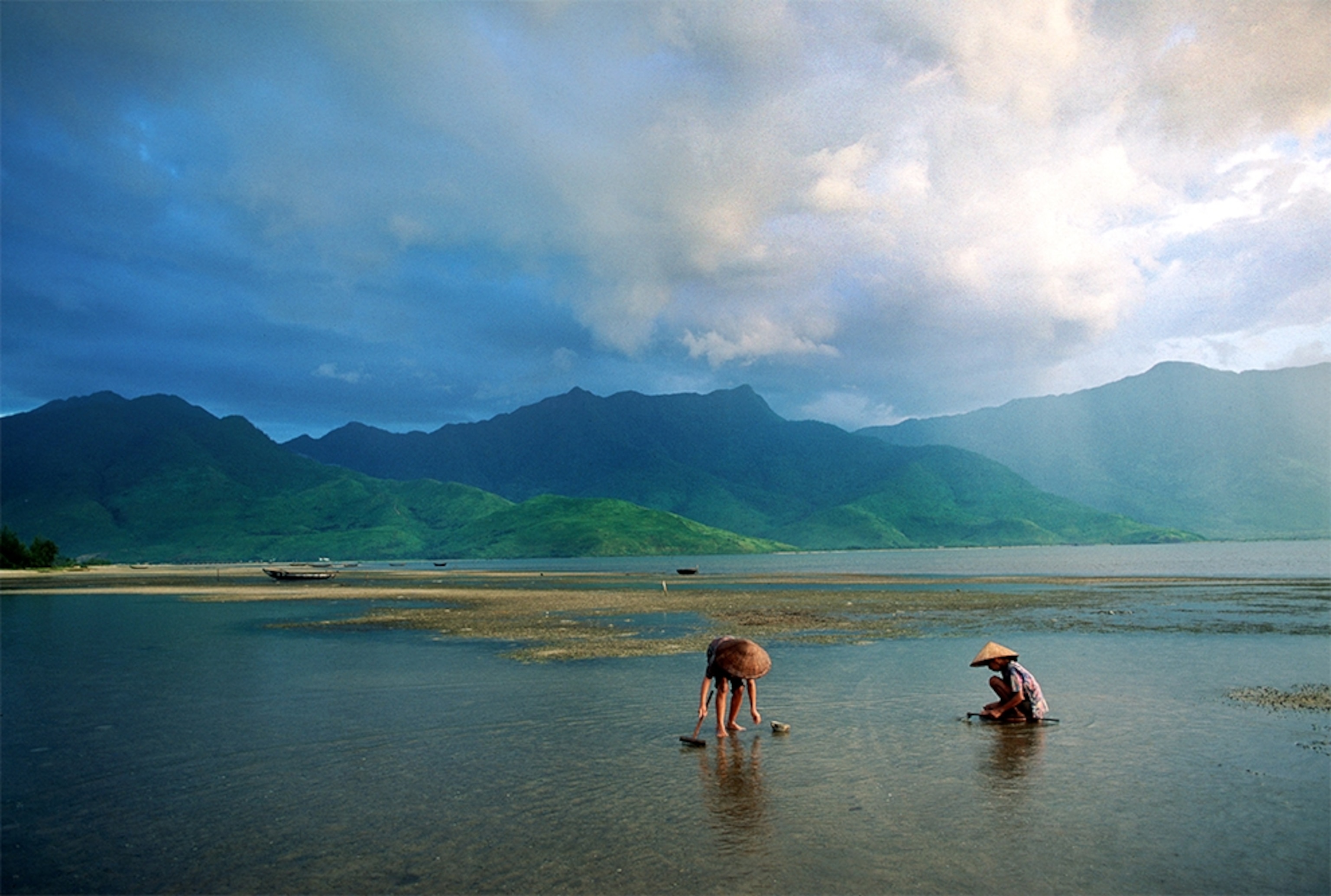 girls digging for clams in Central Vietnam