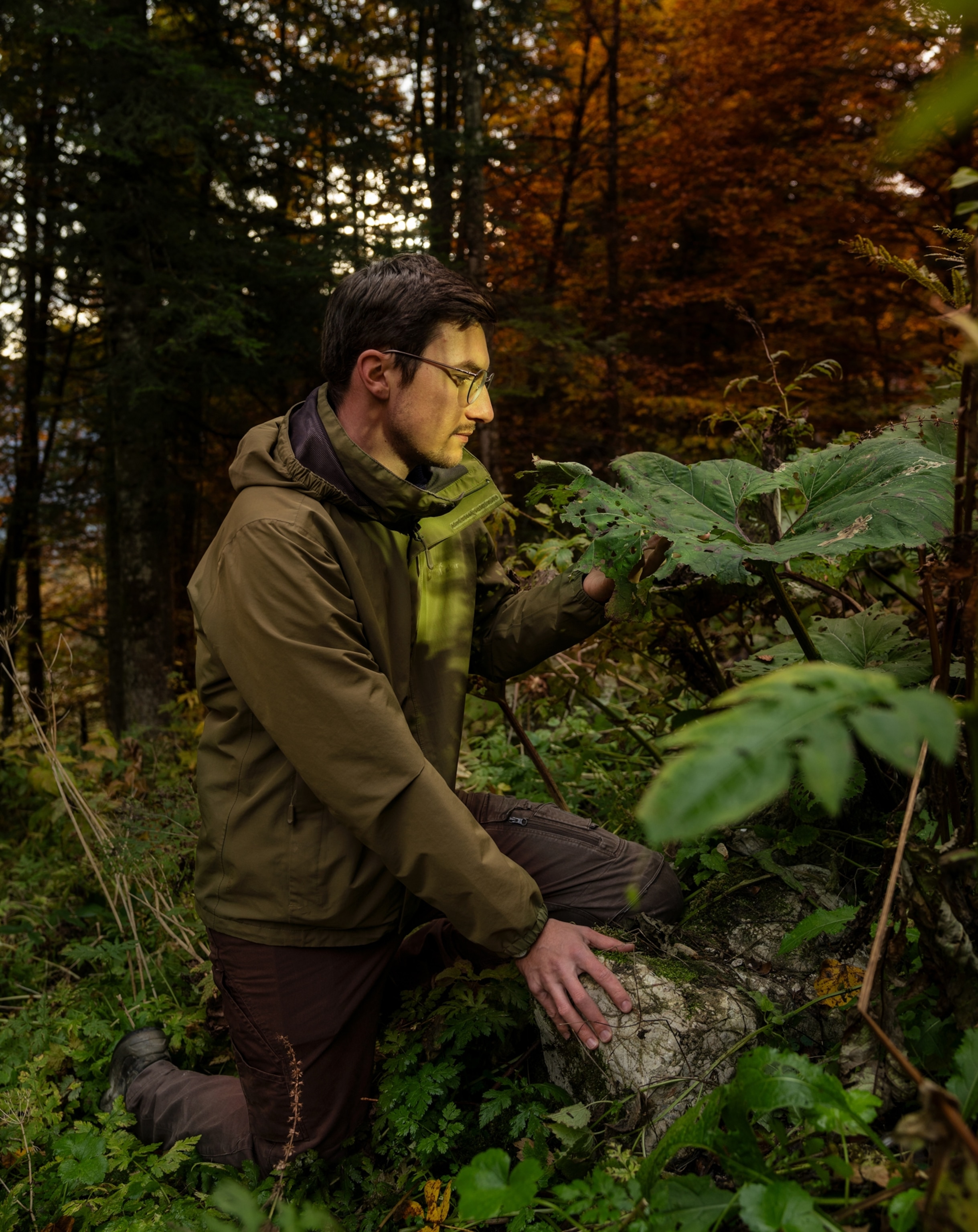 A man in black pants and a green jacket kneels in the grass with his hand resting on a rock. He is looking at a large leaf in front of him.