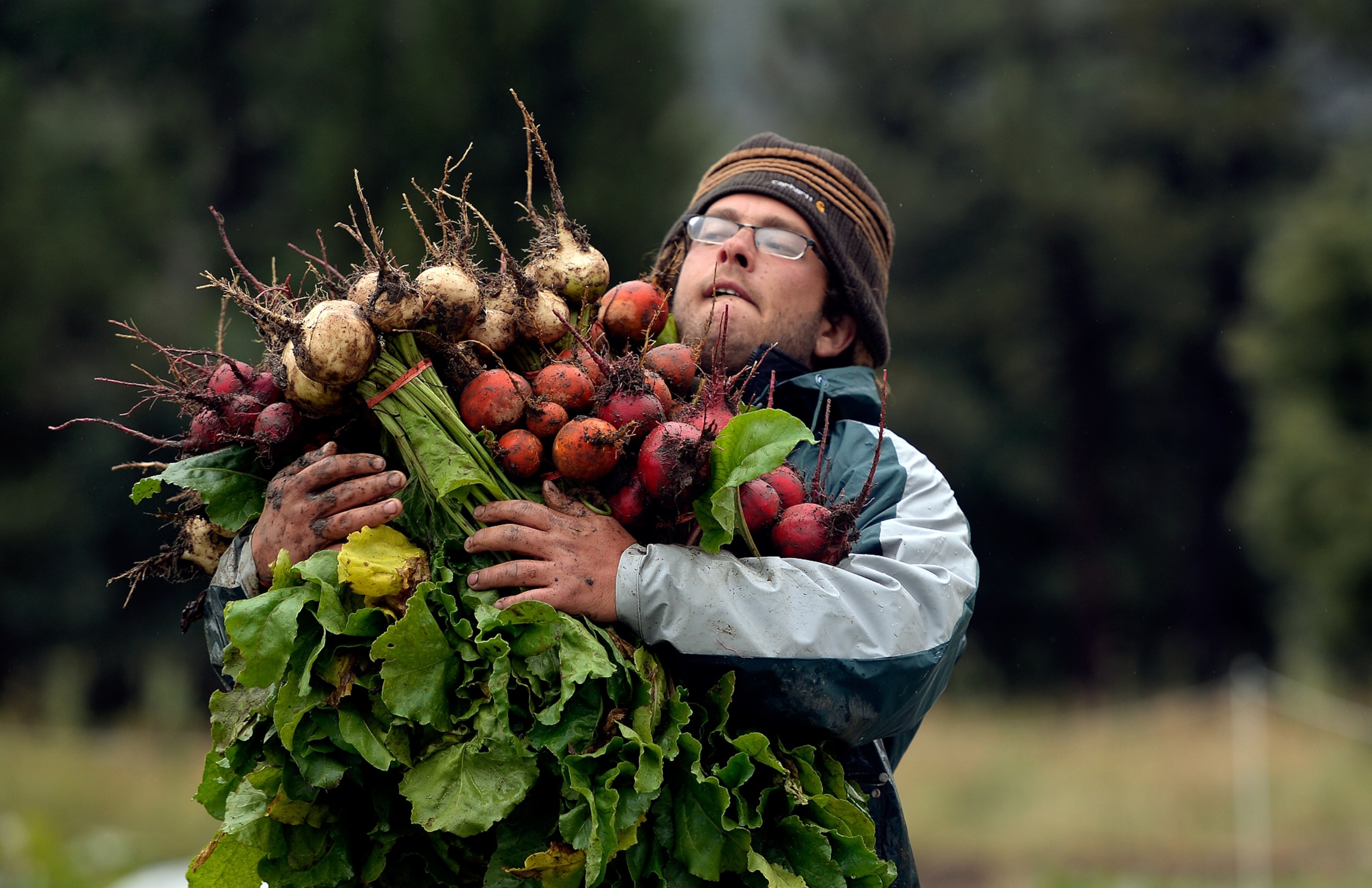 Jason Plotkin carrying white, golden and red beets at his Golden Acre Farm in Colorado.