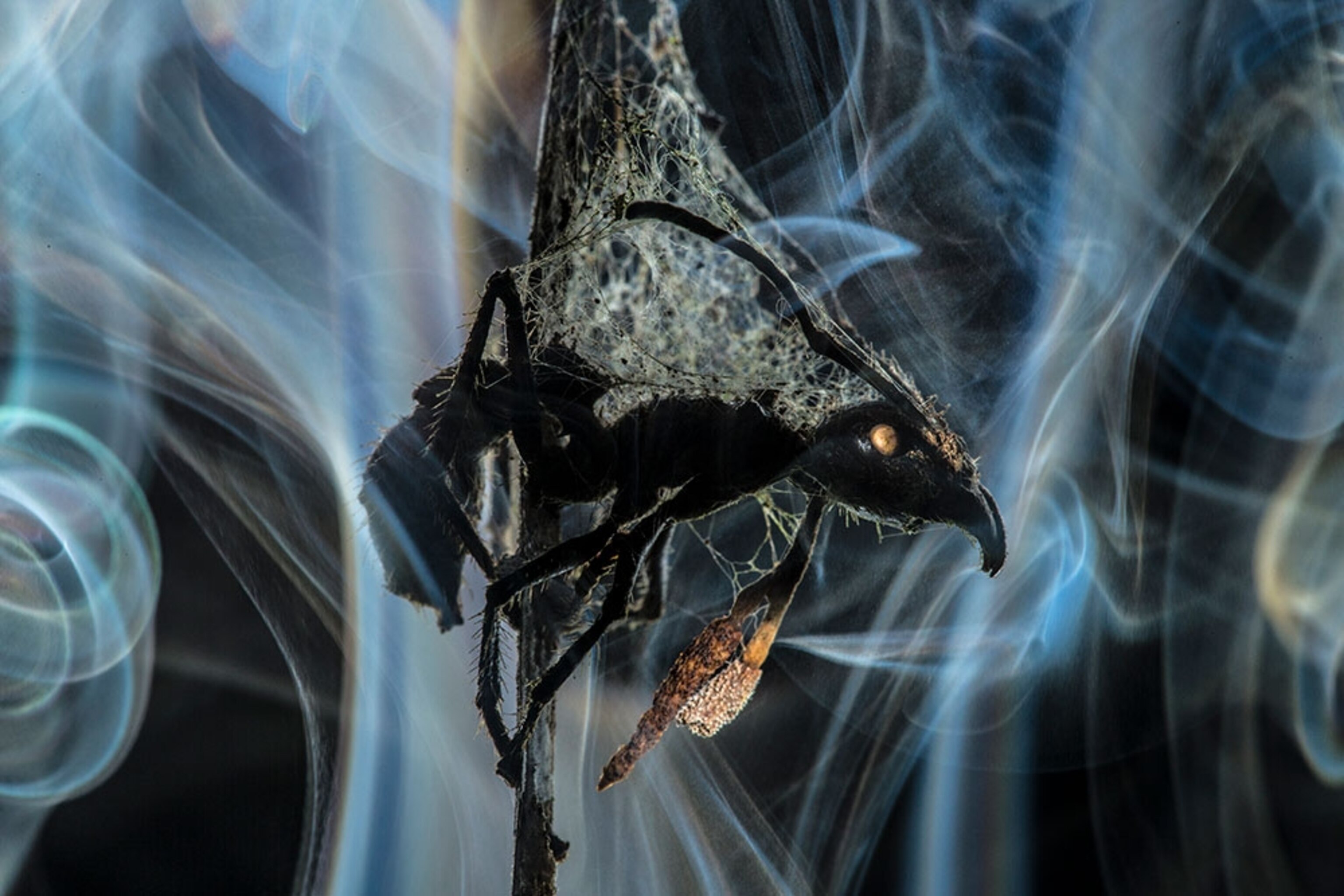 Start a Reservation visual data 6