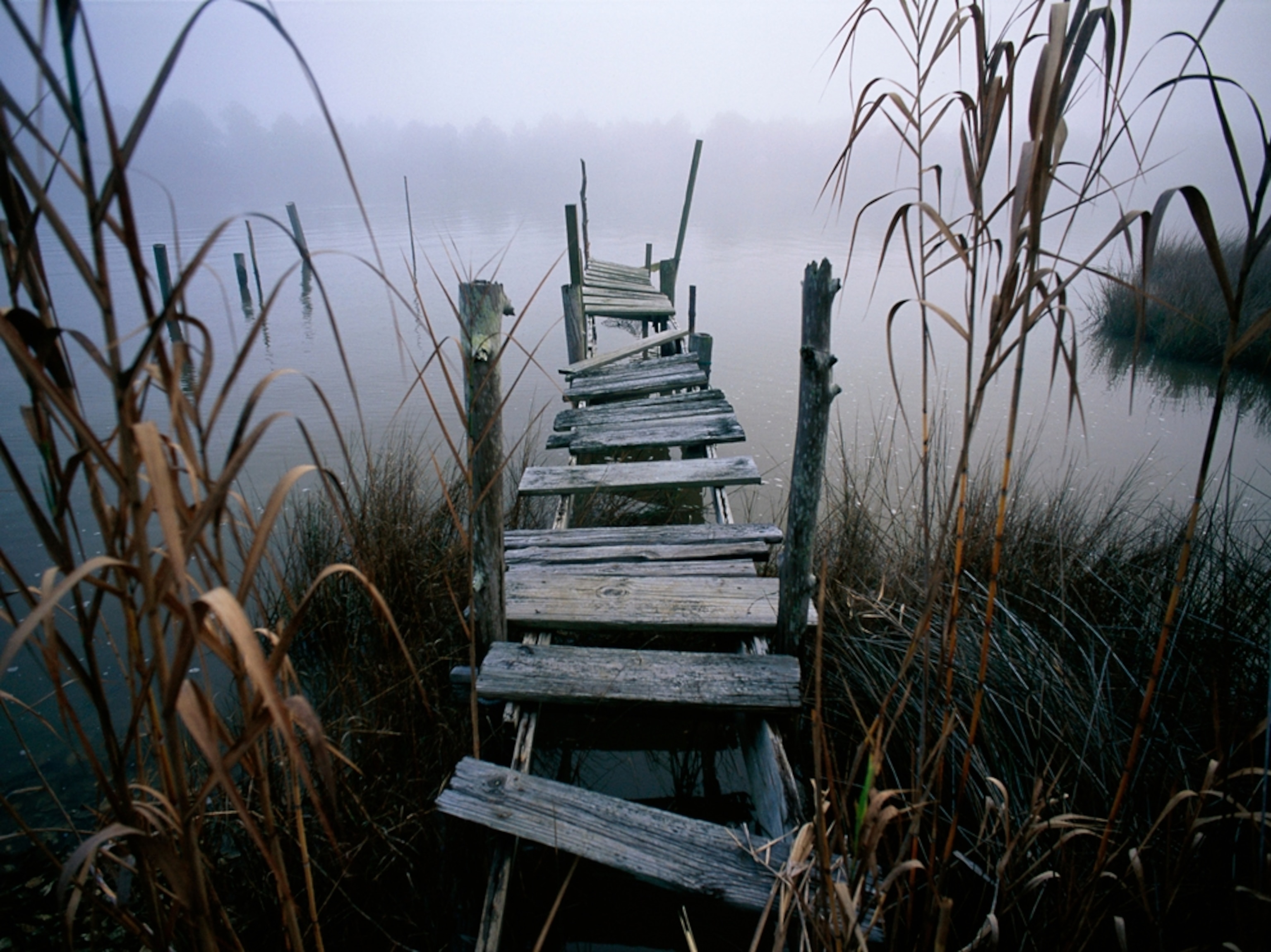 a rickety pier jutting out into Apalachicola Bay in Florida