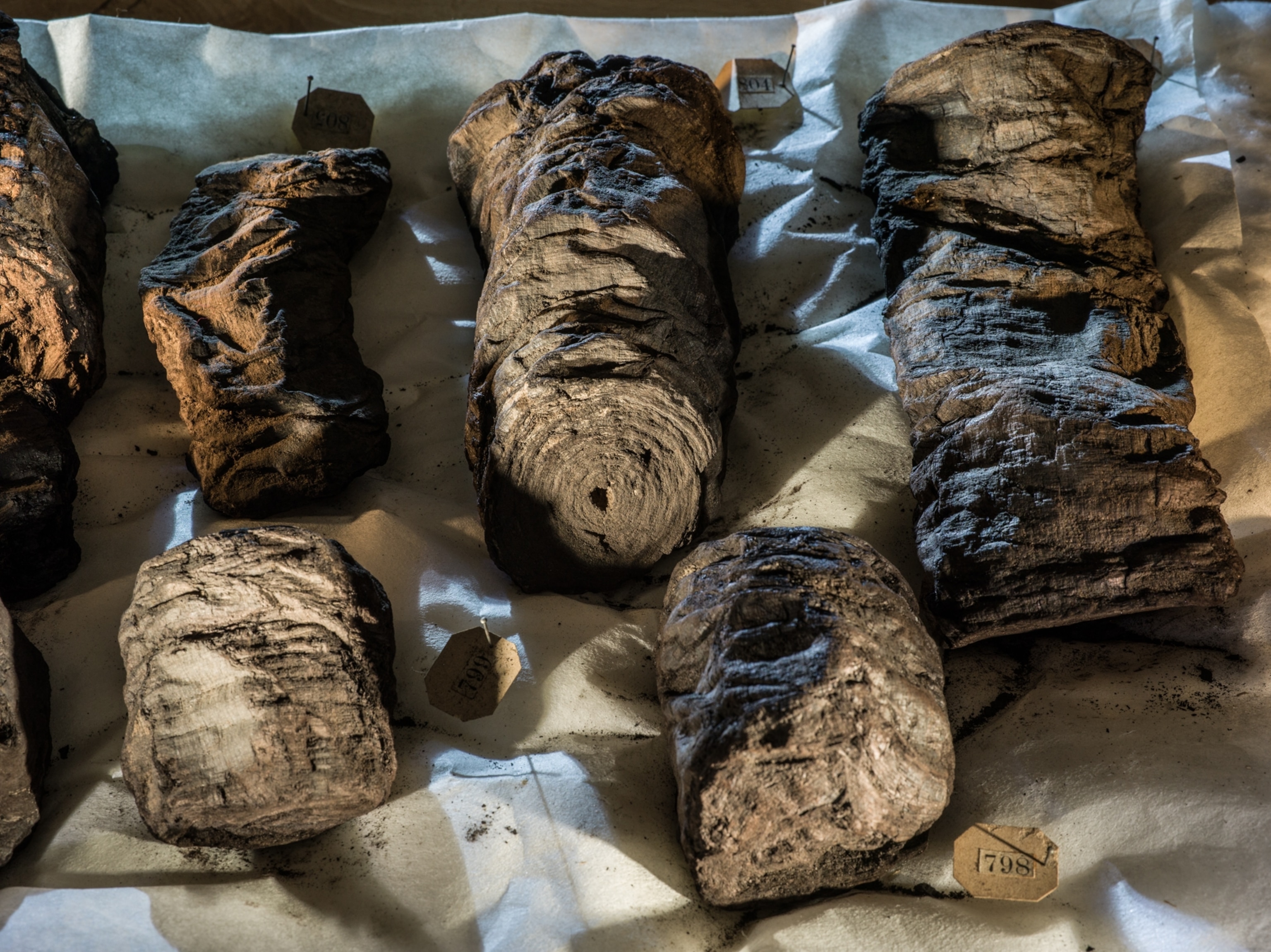 Inside the Officina dei Papiri at the National Library of Naples, we observe details of Vassoio N1, Cassetto N44, which contains scrolls that have not yet been unrolled.