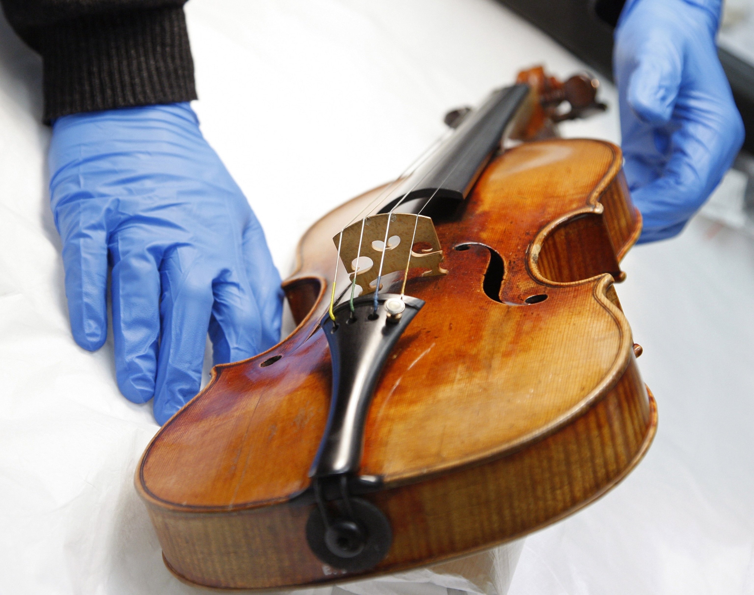 A violin is handled by hands wearing blue latext gloves against a white background
