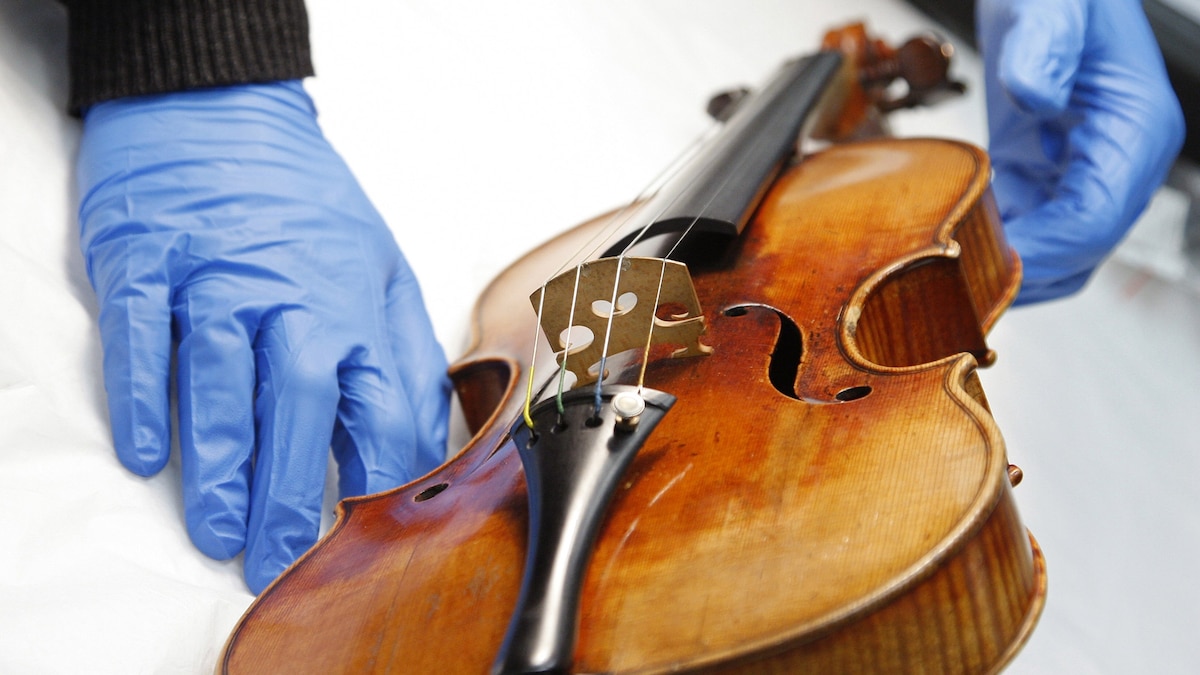 What makes a Stradivarius violin so special? Scientists traced it to one forest in Italy.