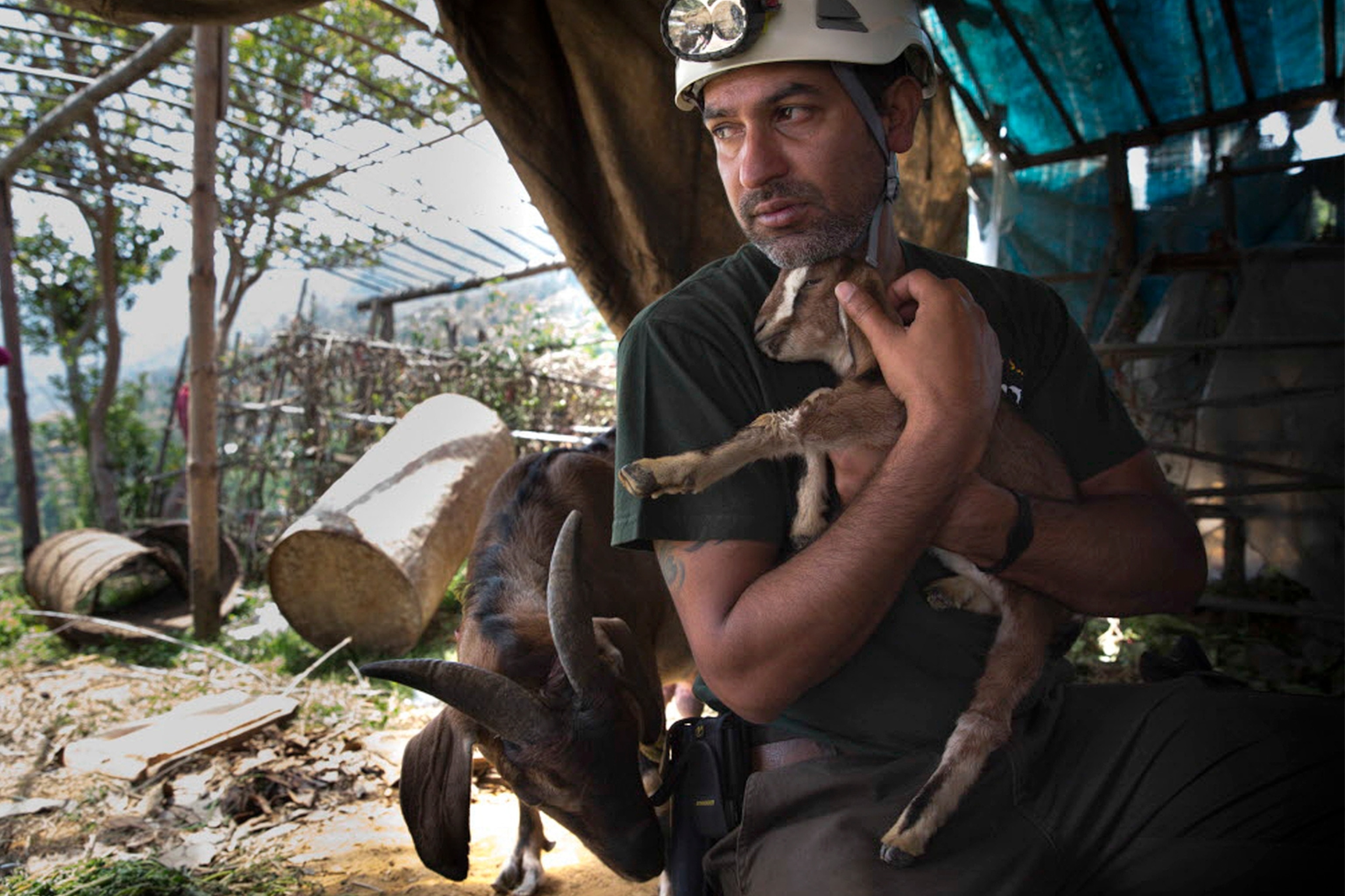 Humane Society worker holder a baby goat