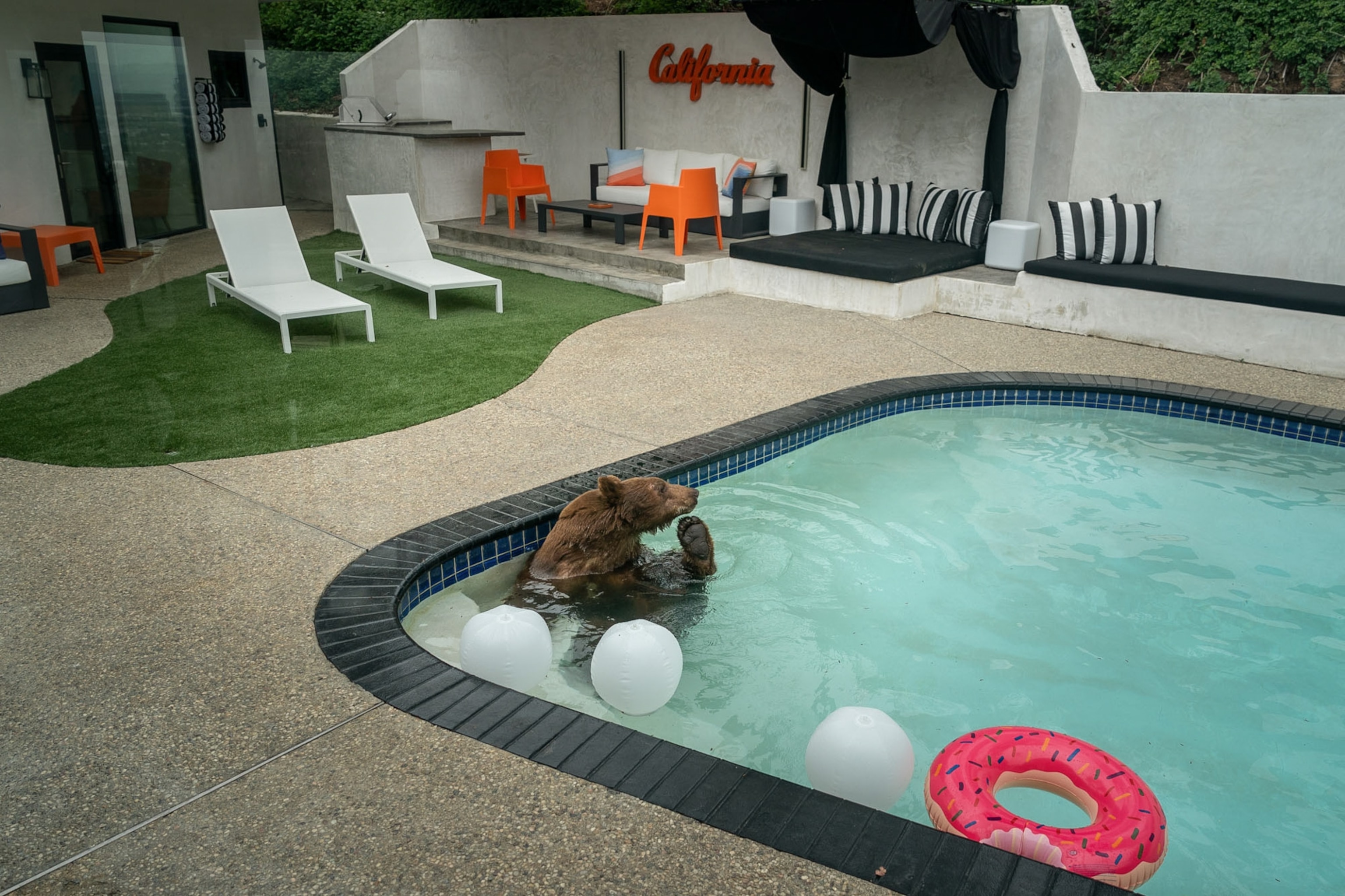 A bear sits on the stairs of a pool and scratches its face as the pool deck around is empty.