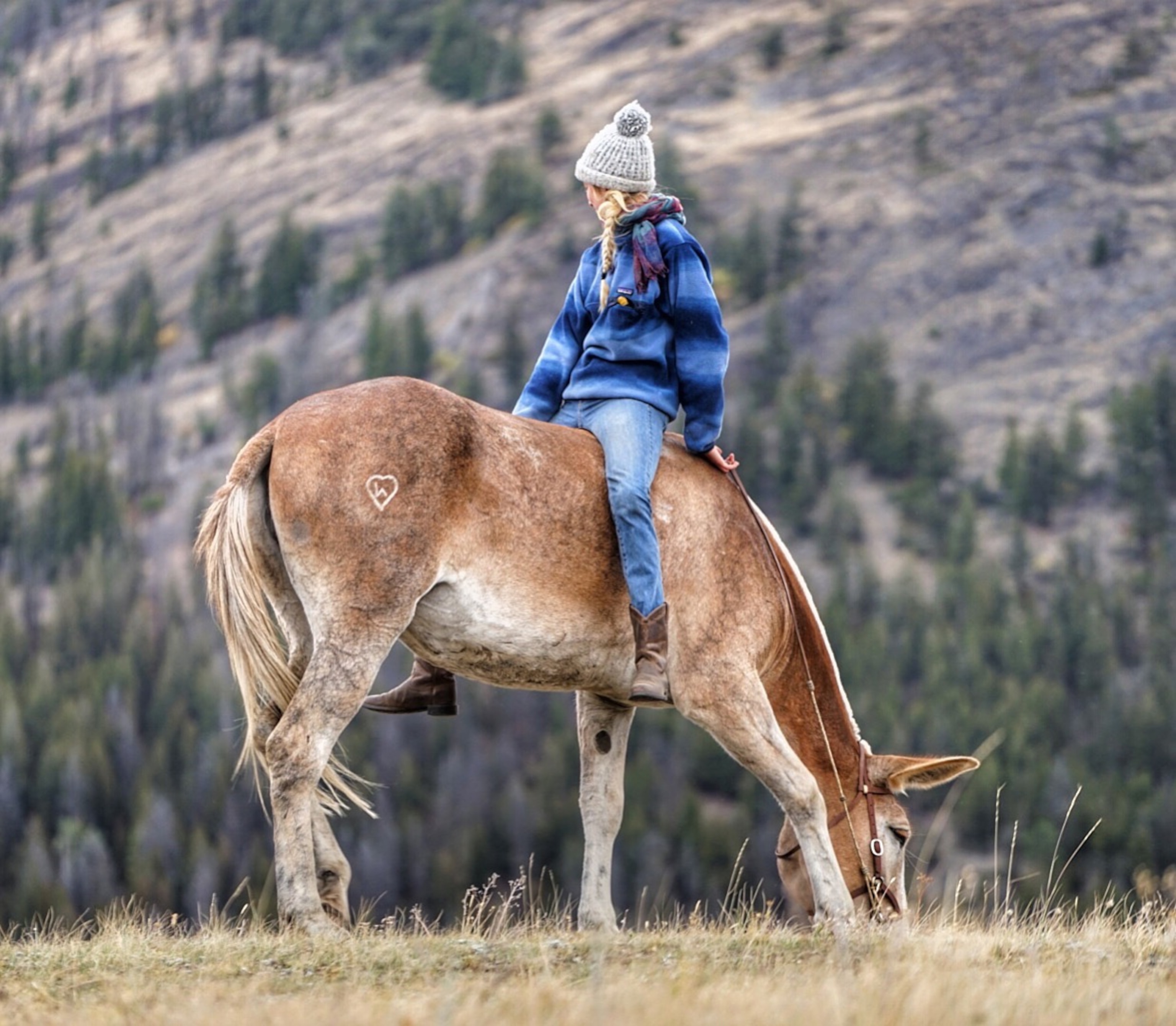 a woman sitting backward on a mule