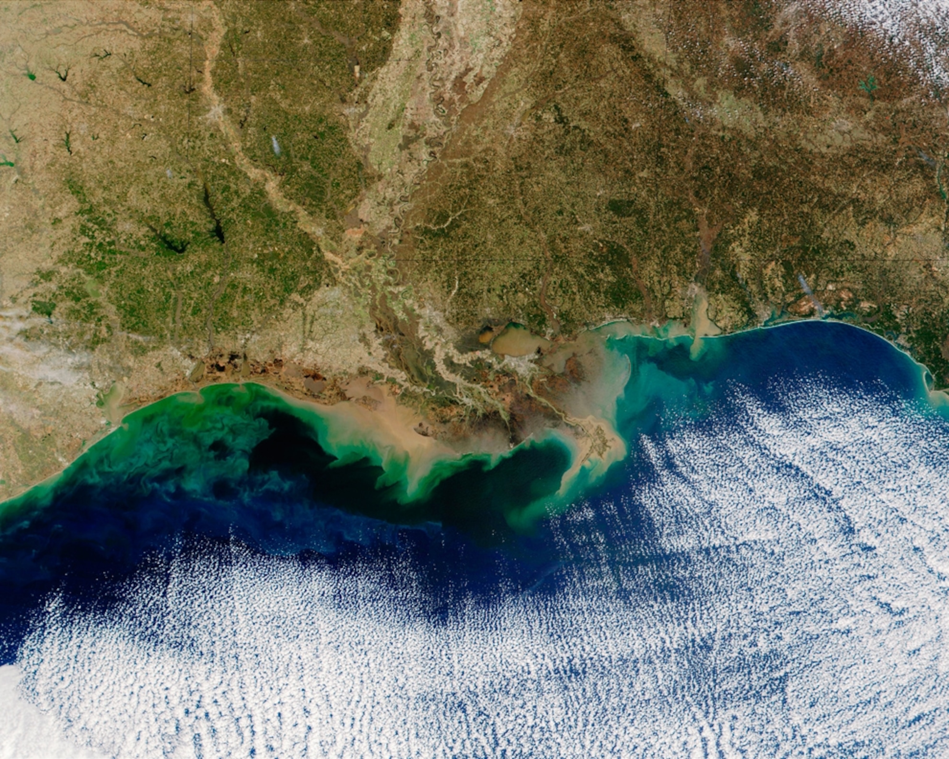 Satellite view of Gulf of Mexico dead zone