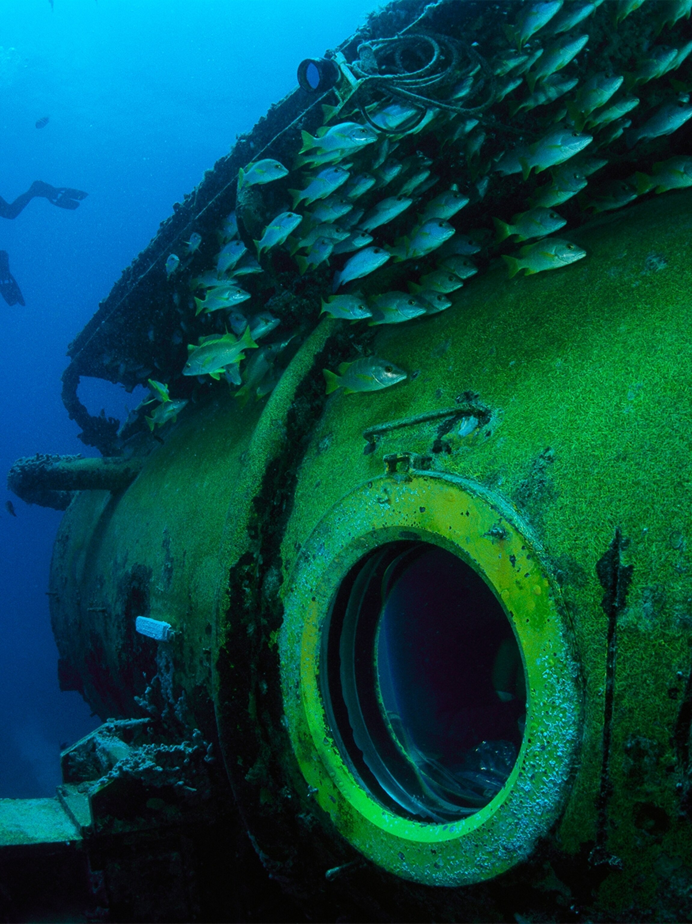 Fabien Cousteau Leads Aquanauts In Record Breaking Undersea Expedition Innovators