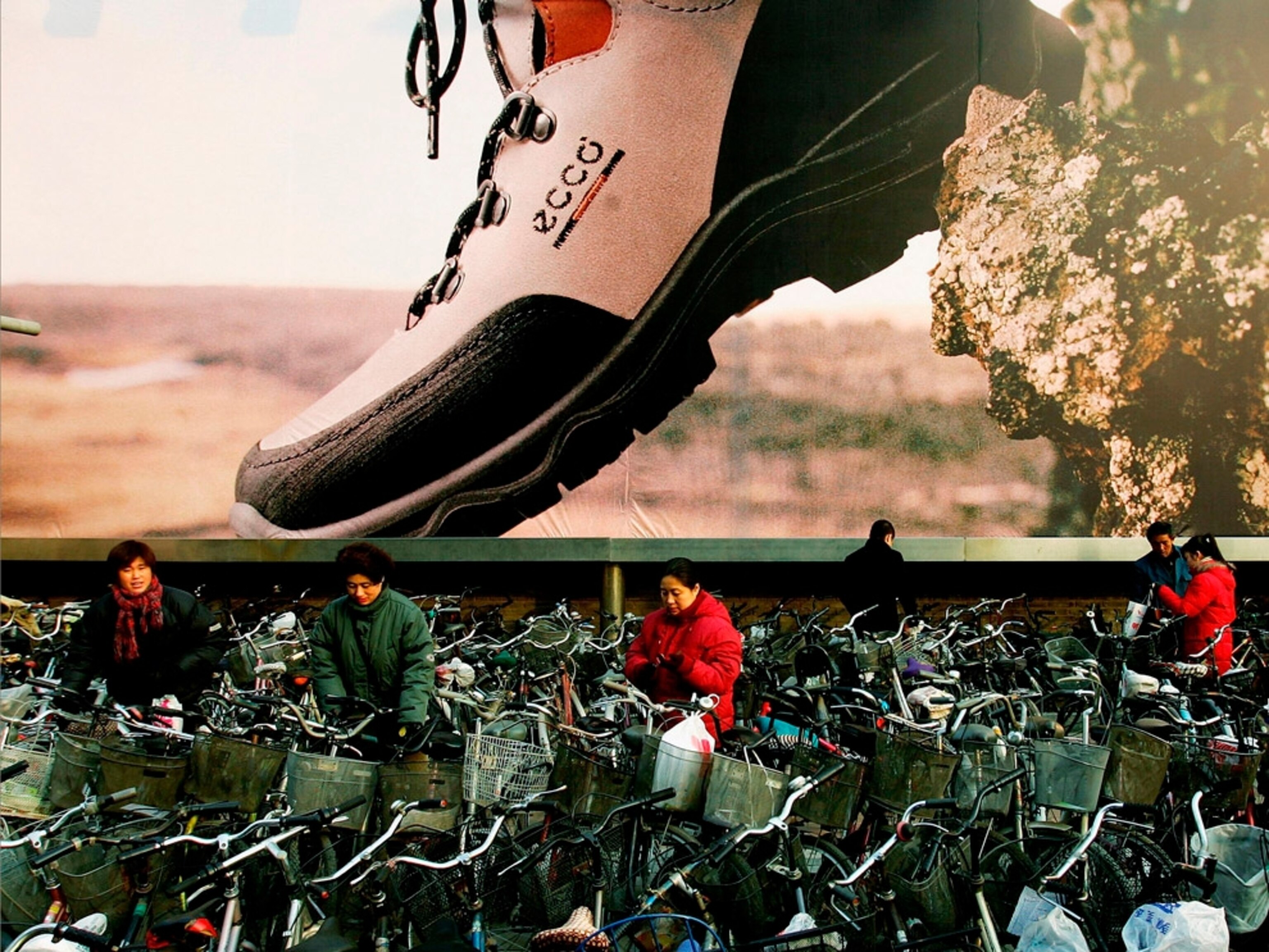 Cyclists near billboard