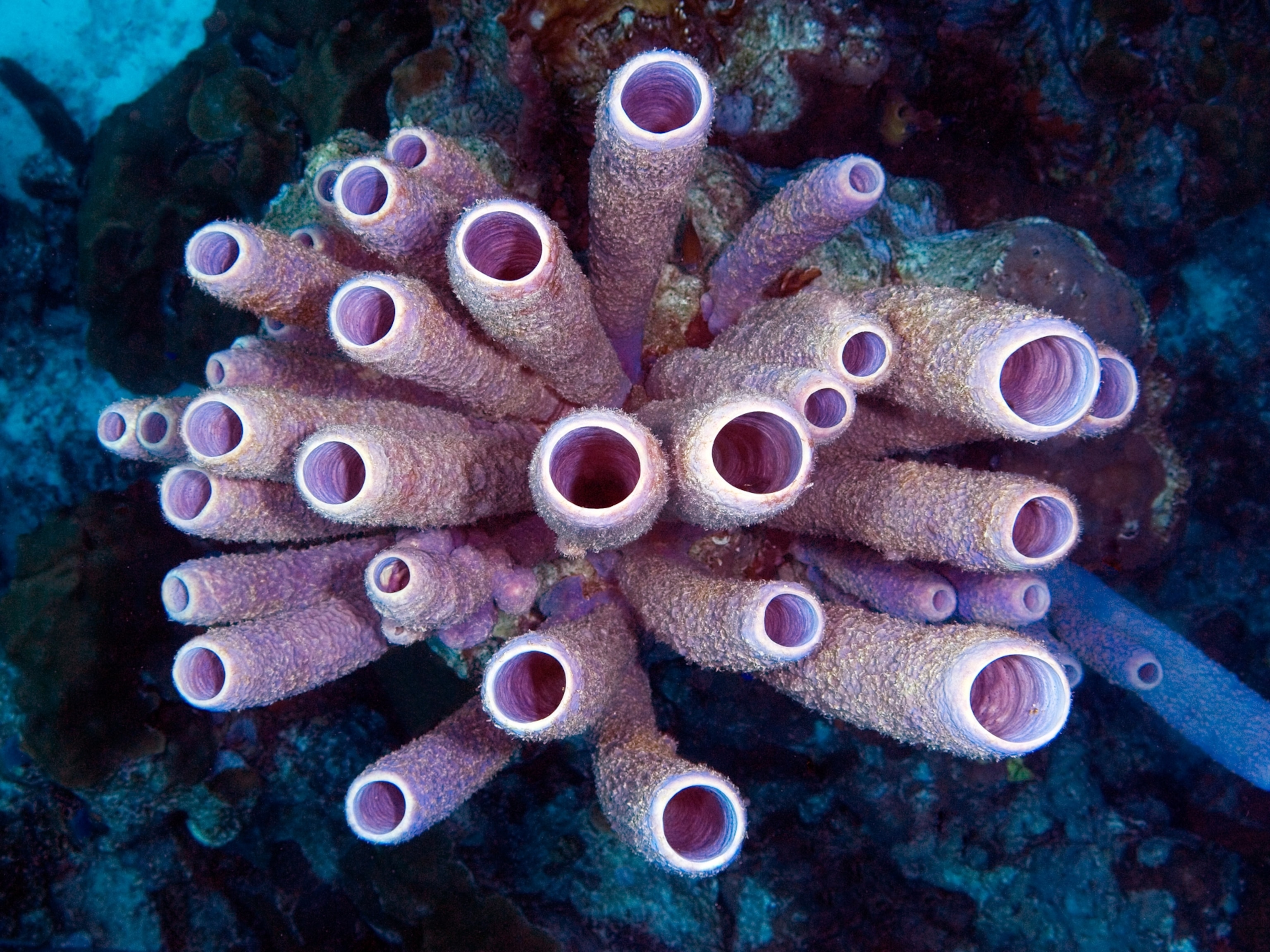 Hidden DNA is revealing secrets of animals' lives