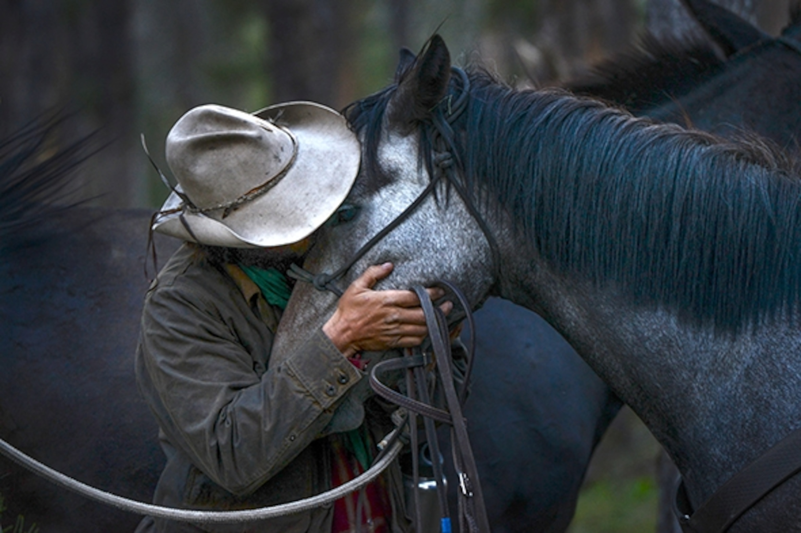 Army veteran Ray Knell kisses his mare, Mustang Sally, during their reunion on the trail. Mustang Sally had to be taken off the trip for a few weeks after she ingested poisonous plants; Photograph by Michael Ciaglo