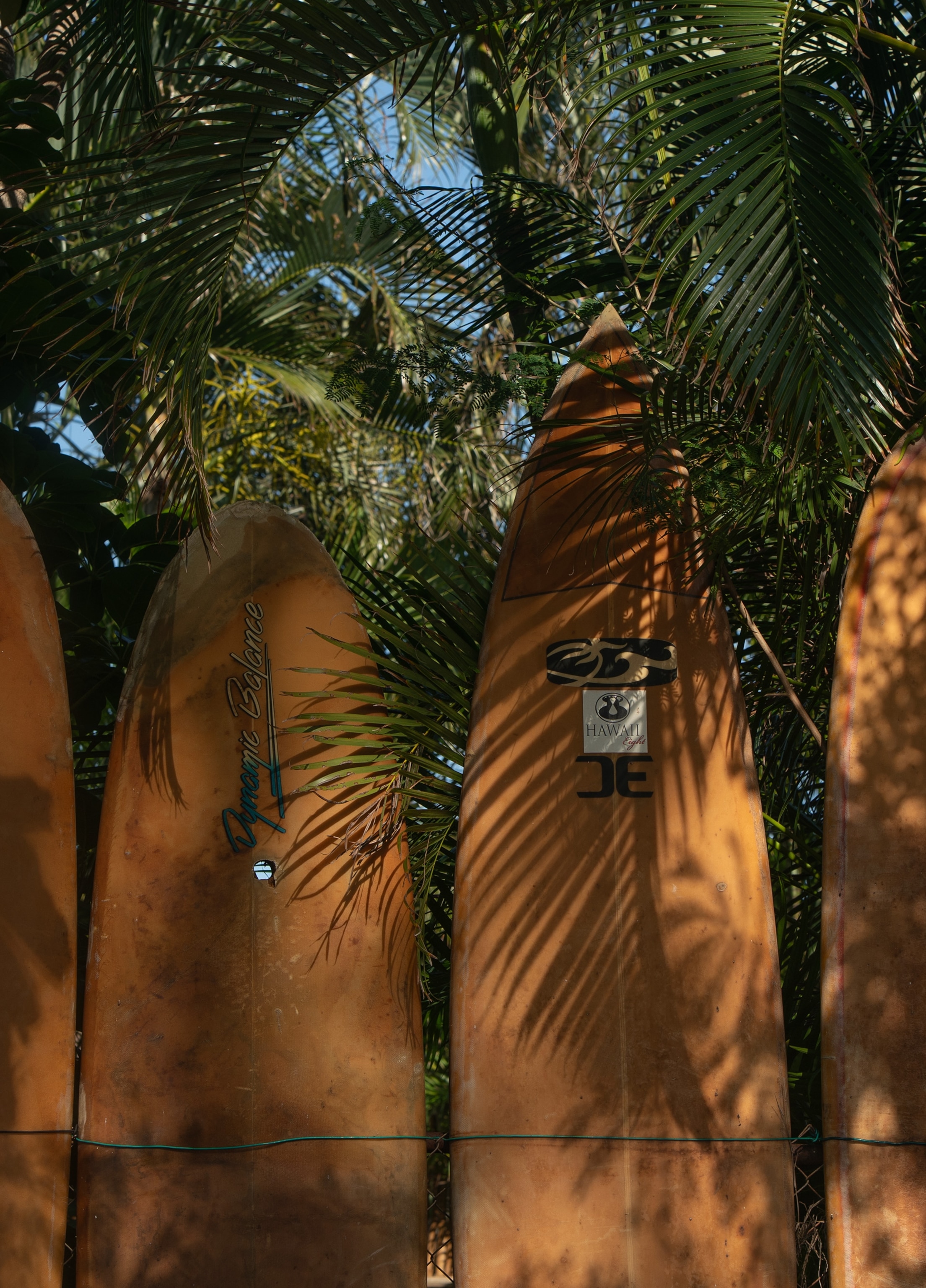 Surfboards sit near a beach in Maui, Hawaii