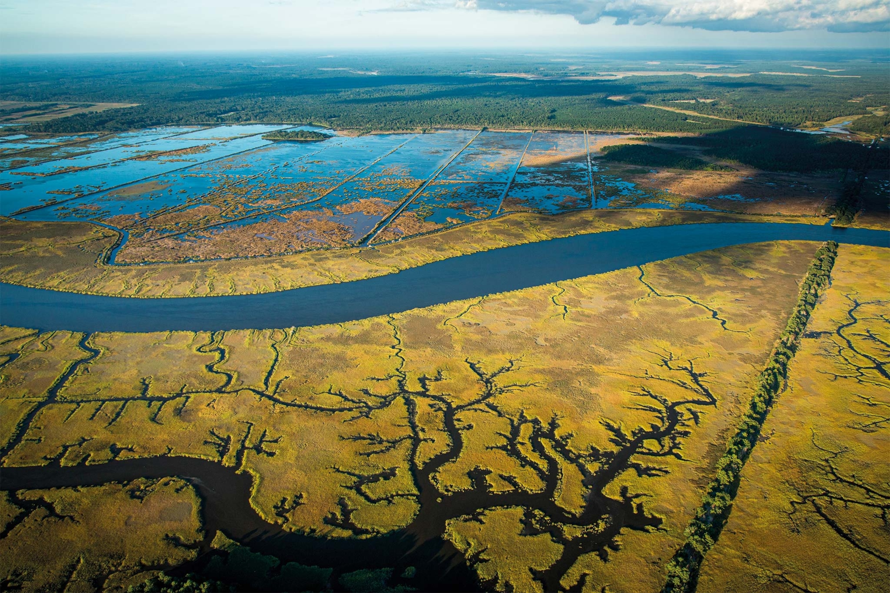 An aerial view of a river and tributaries in the ACE Basin near Charleston, SC