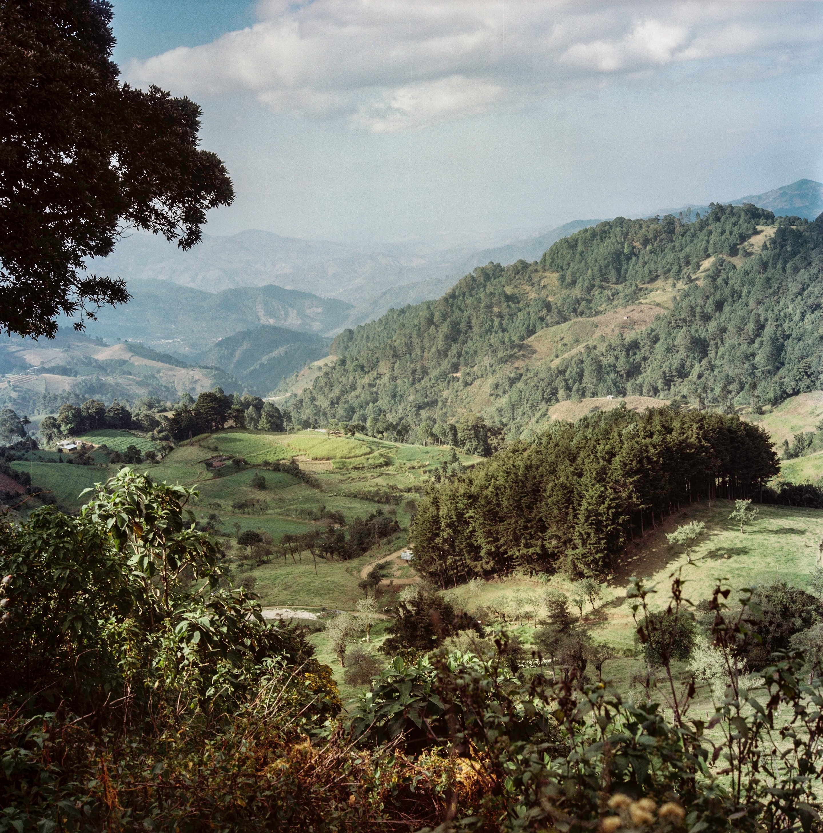 Immersion in Nature trip in Guatemala | Terra Guatemala, local travel agency, image size:2879x2914