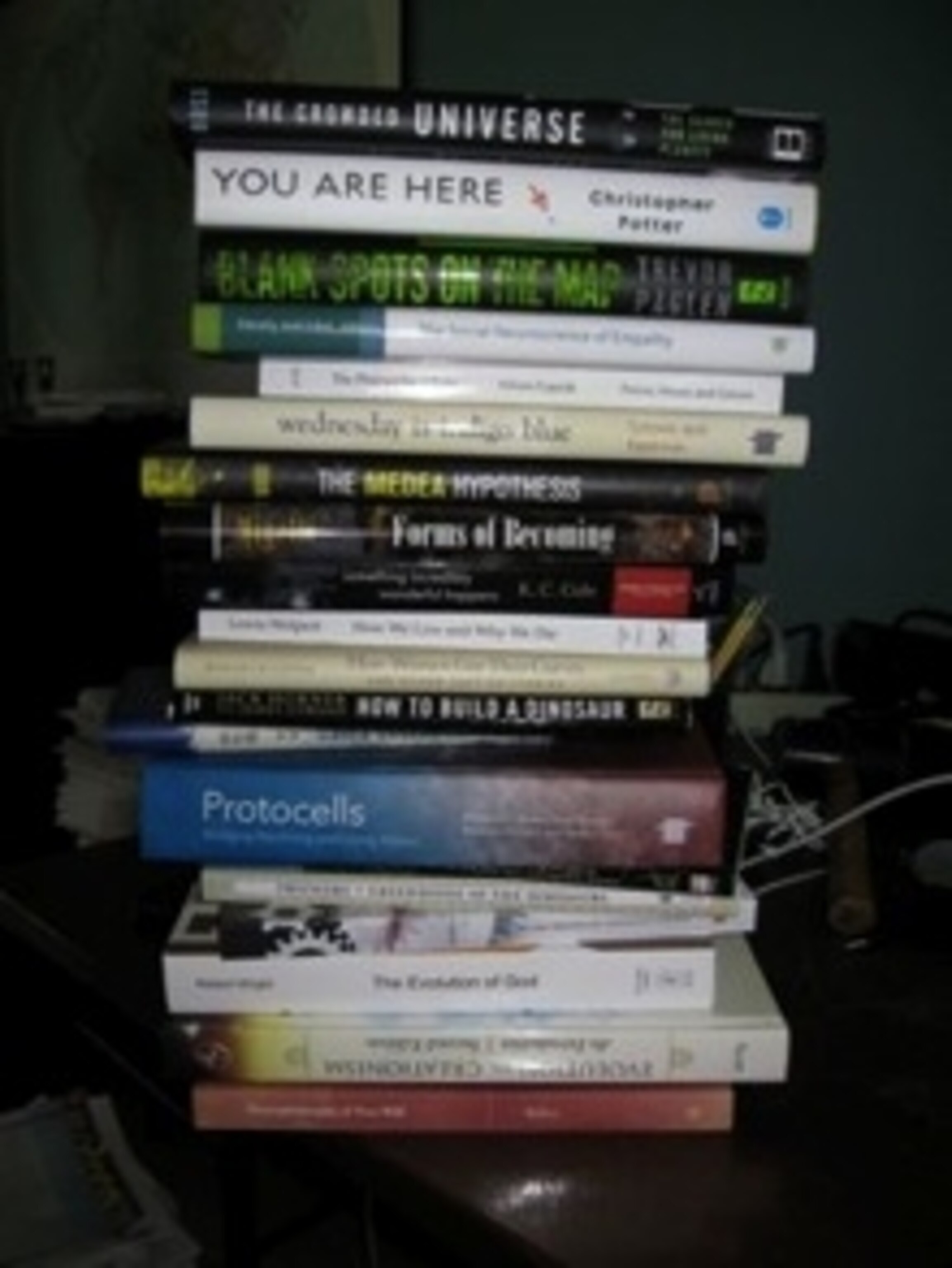 bookstack220.jpg