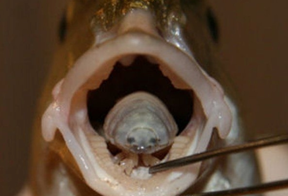 www.nationalgeographic.com
