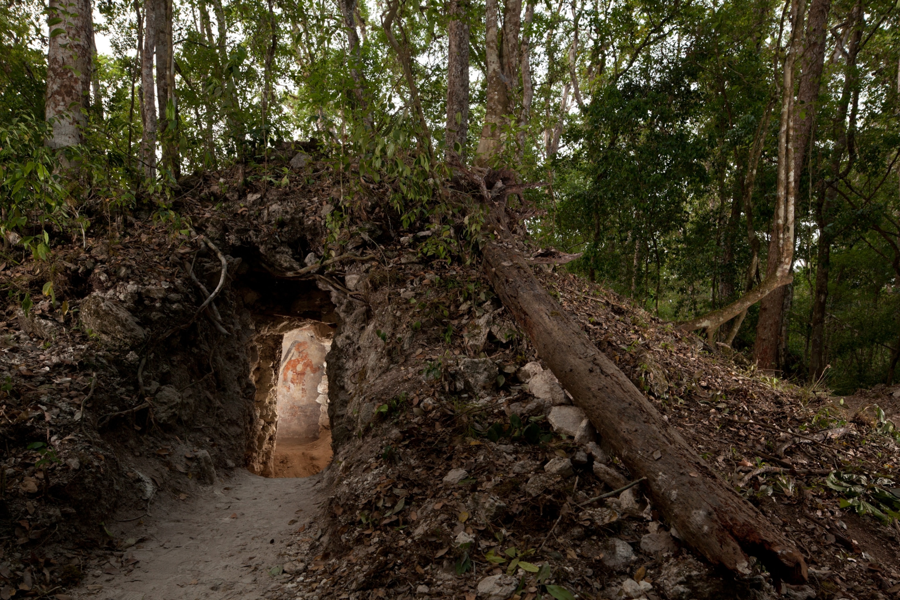 A narrow cave entrance in a dense forest, surrounded by lush greenery and fallen leaves. Light partially illuminates the tunnel interior revealing a Mayan mural painted on the wall