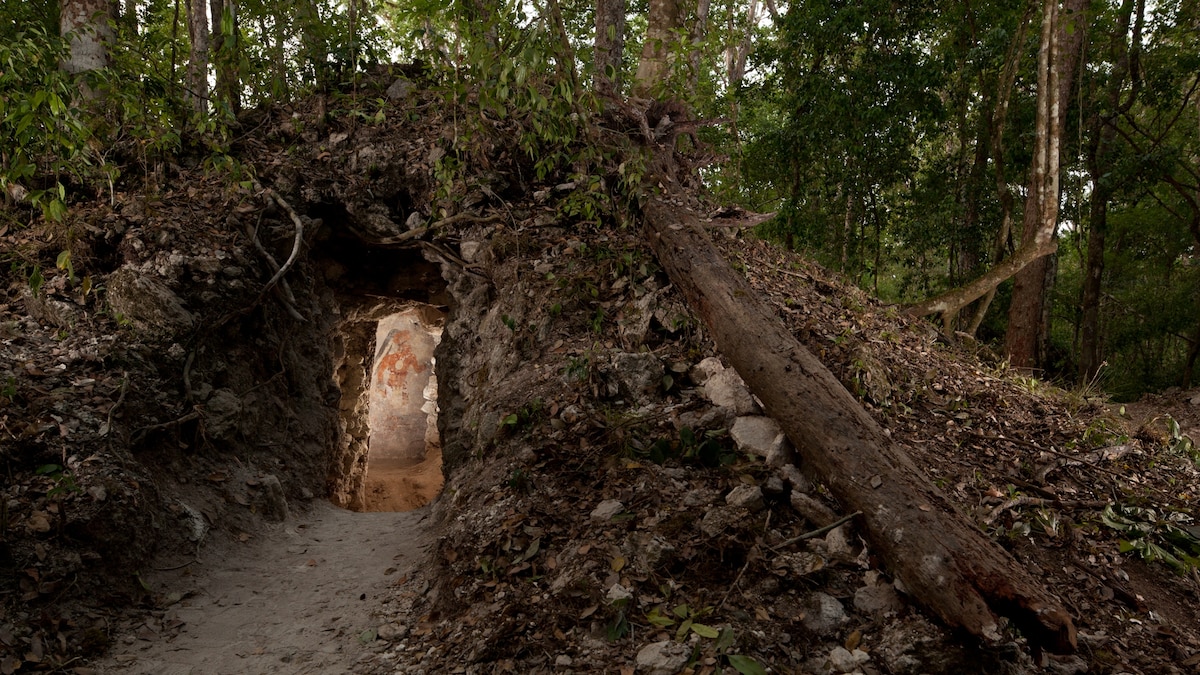 Archaeologists decipher name of ancient Maya astronomer Sak Tahn Waax