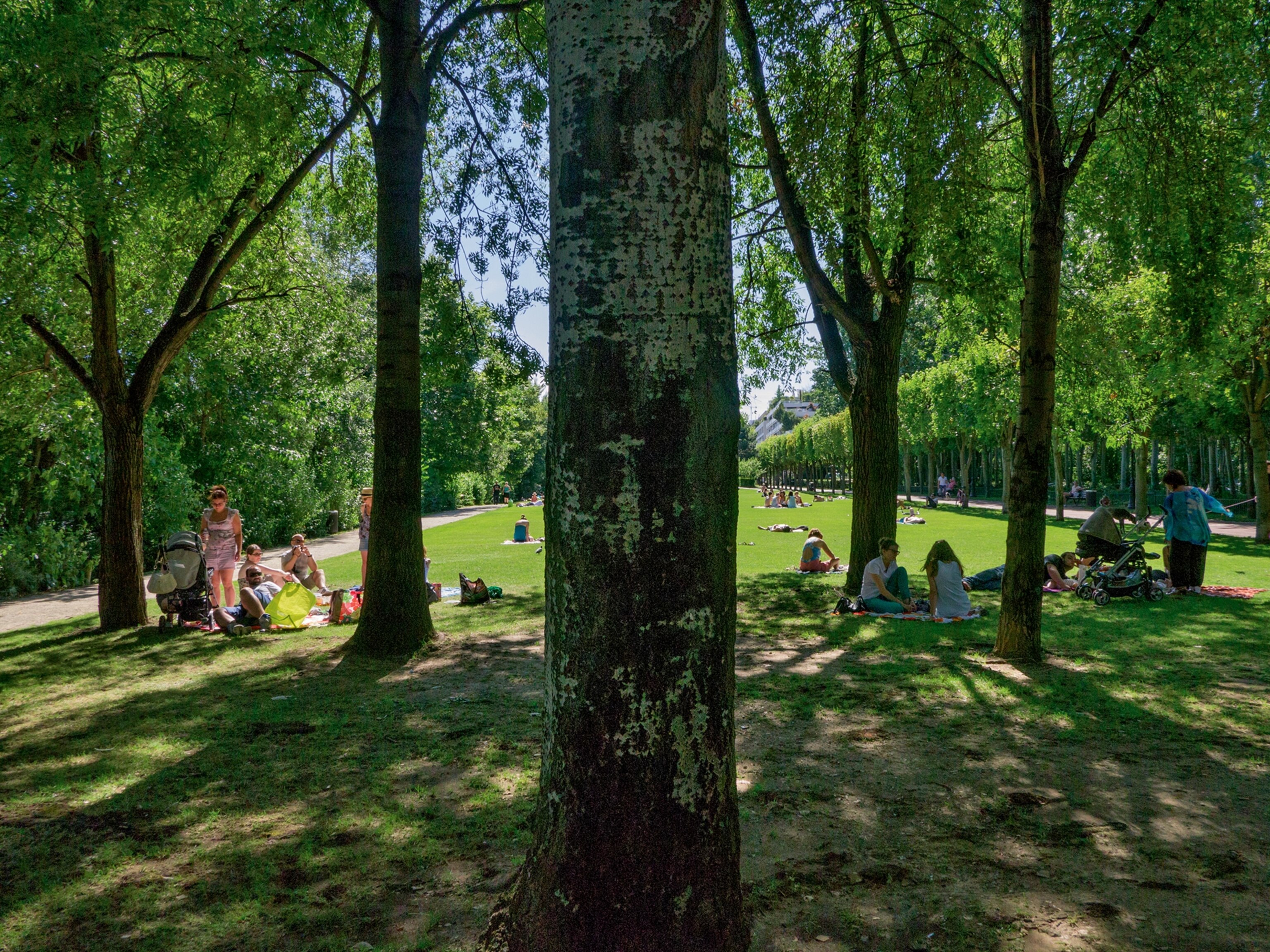 Île de la Grande Jatte