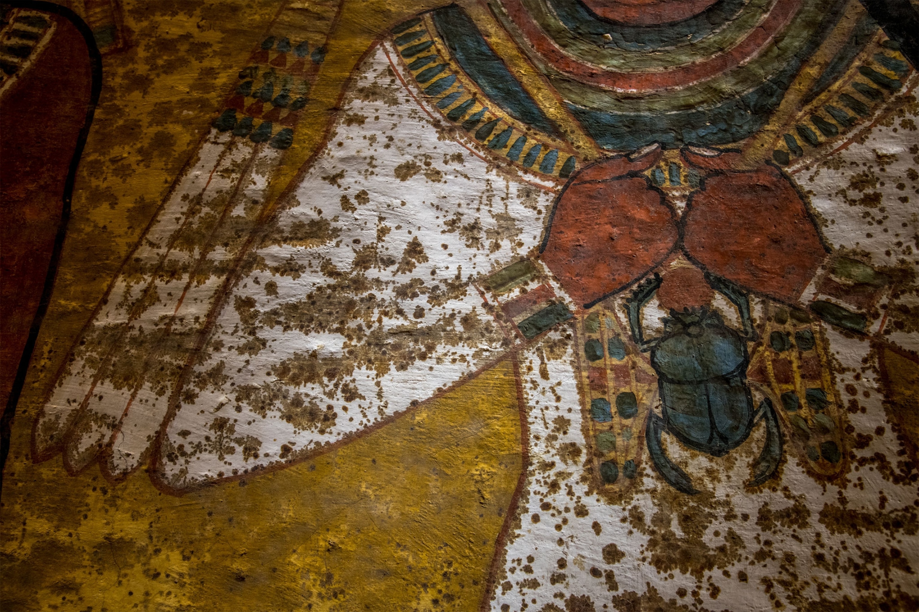 scanning in King Tut's tomb in Egypt