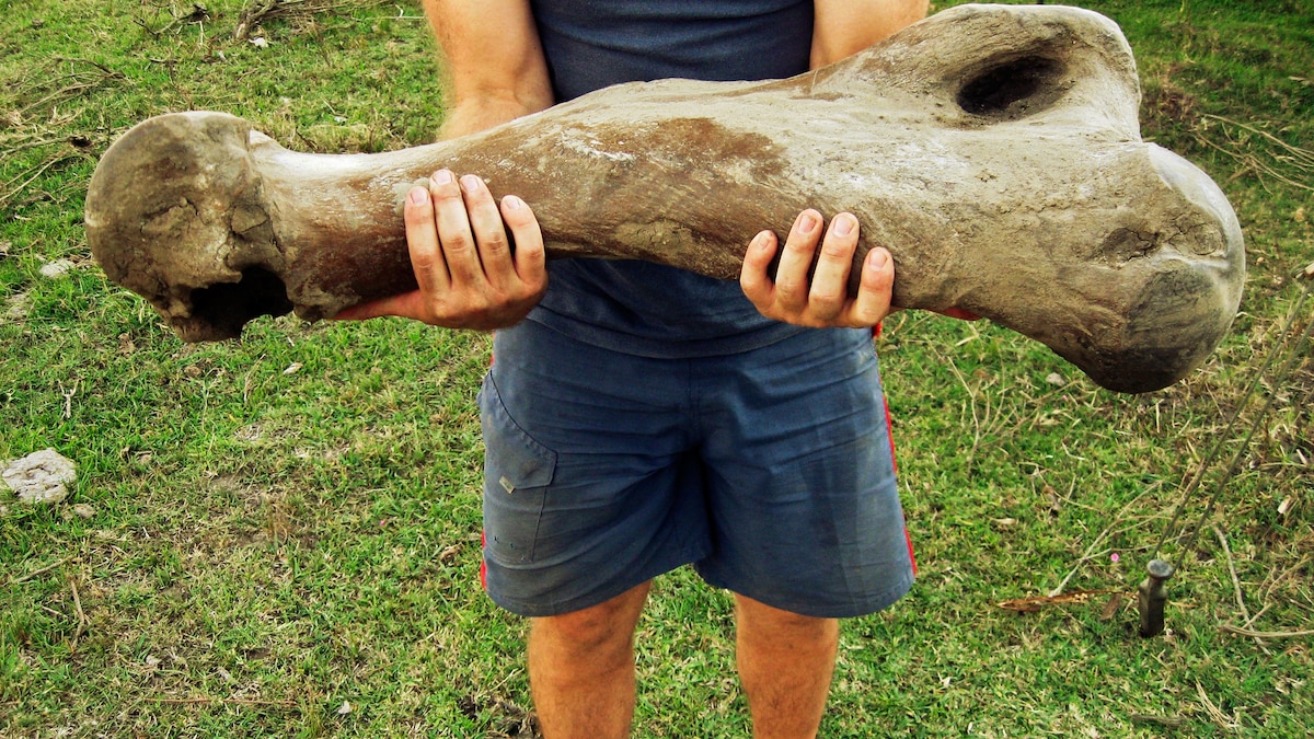 Were People Killing Giant Sloths in South America 30,000 Years Ago?