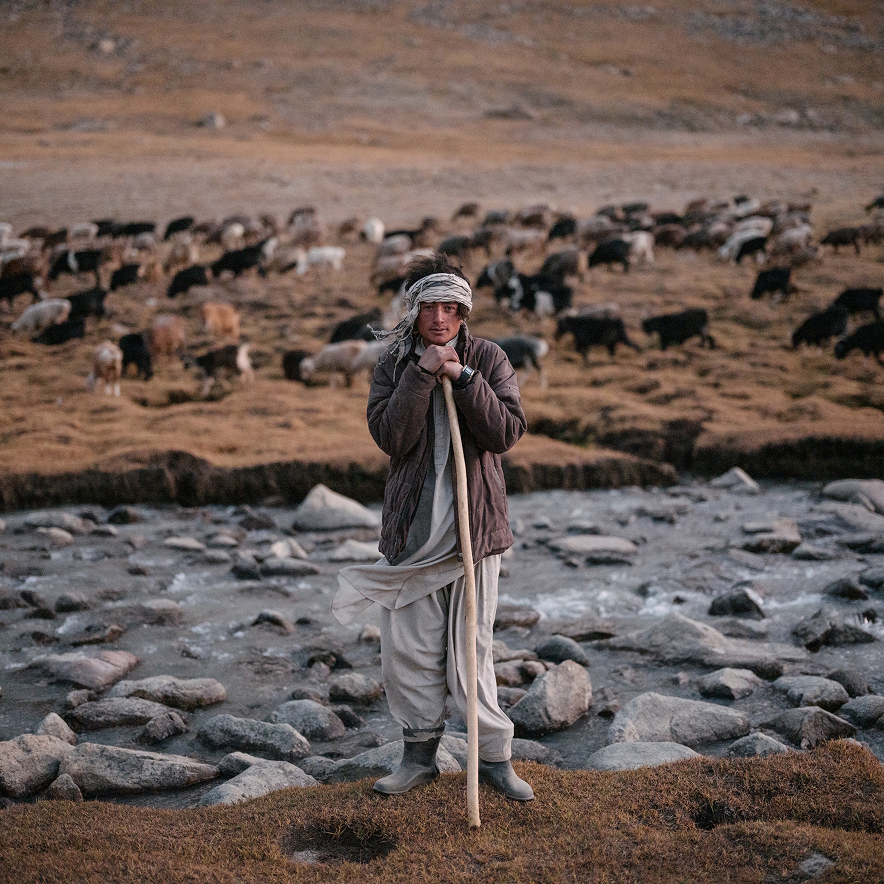 Full body portrait of a shepherd standing in front of a river with livestock on the land behind the river.