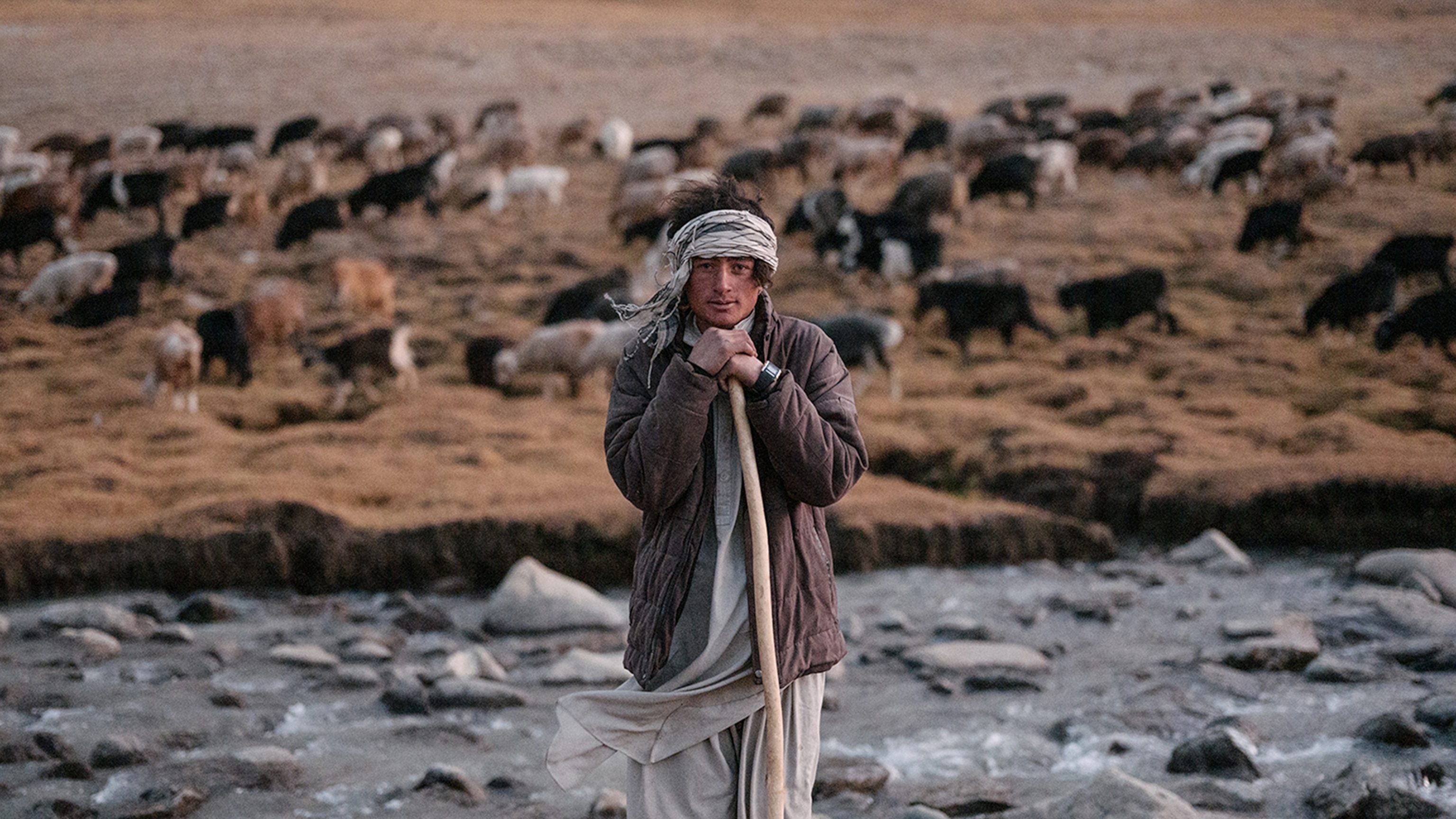 A National Geographic photographer walks across the roof of the world