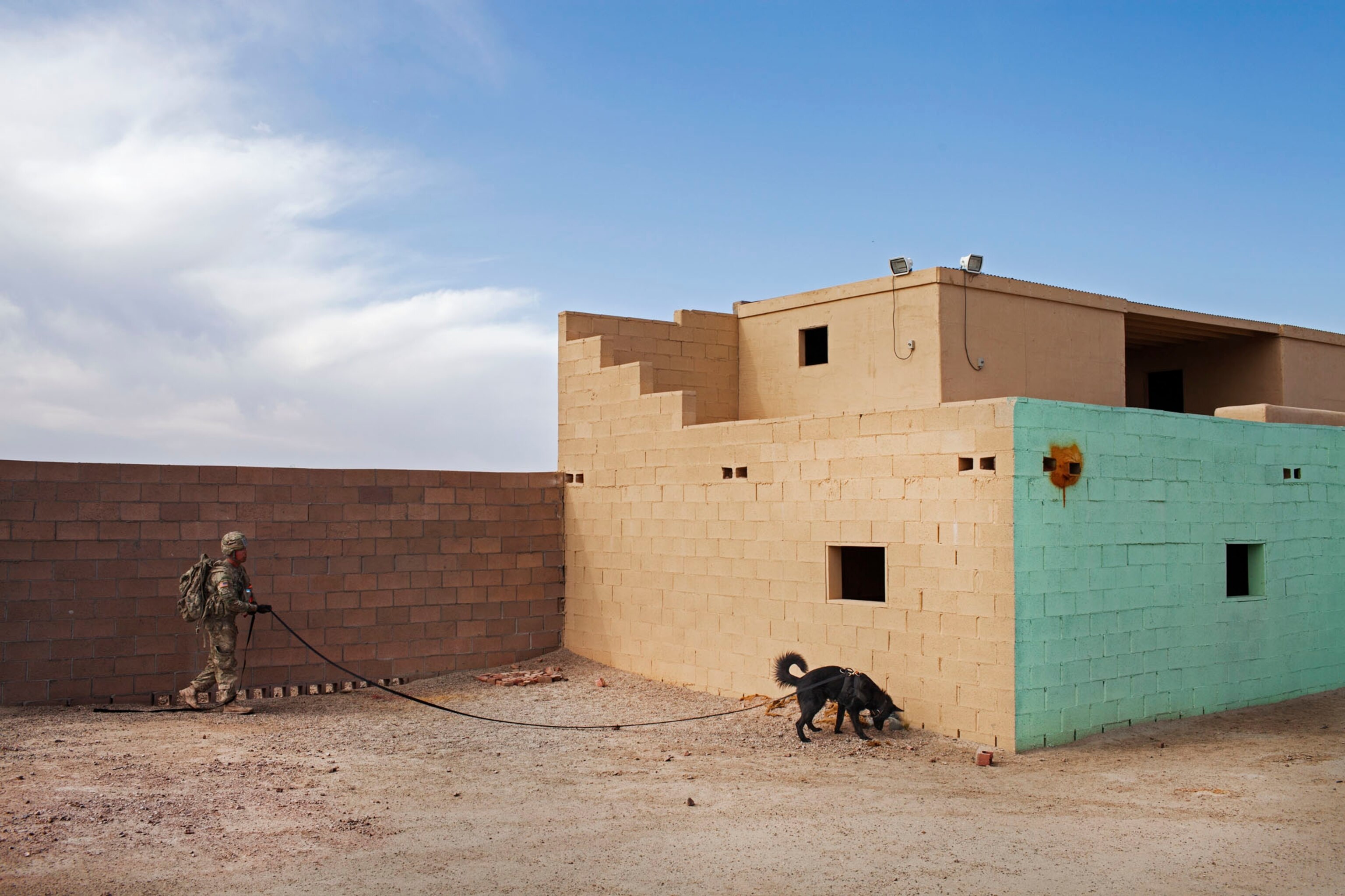 a German shepherd, practicing searching for explosives with his handler.