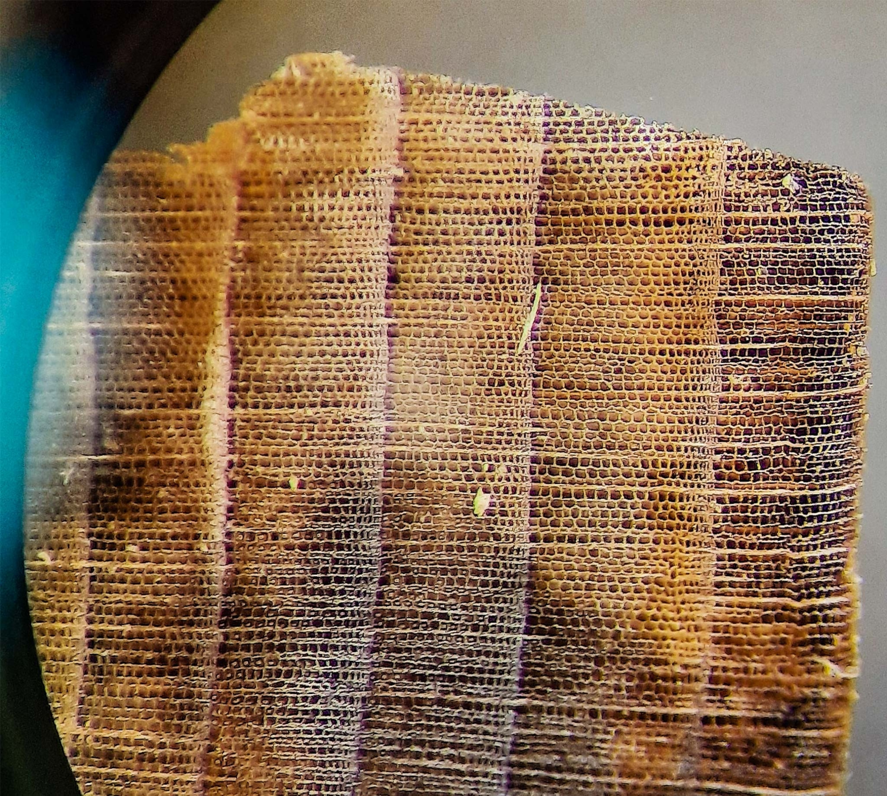 A cross-section of the rings in a piece of wood