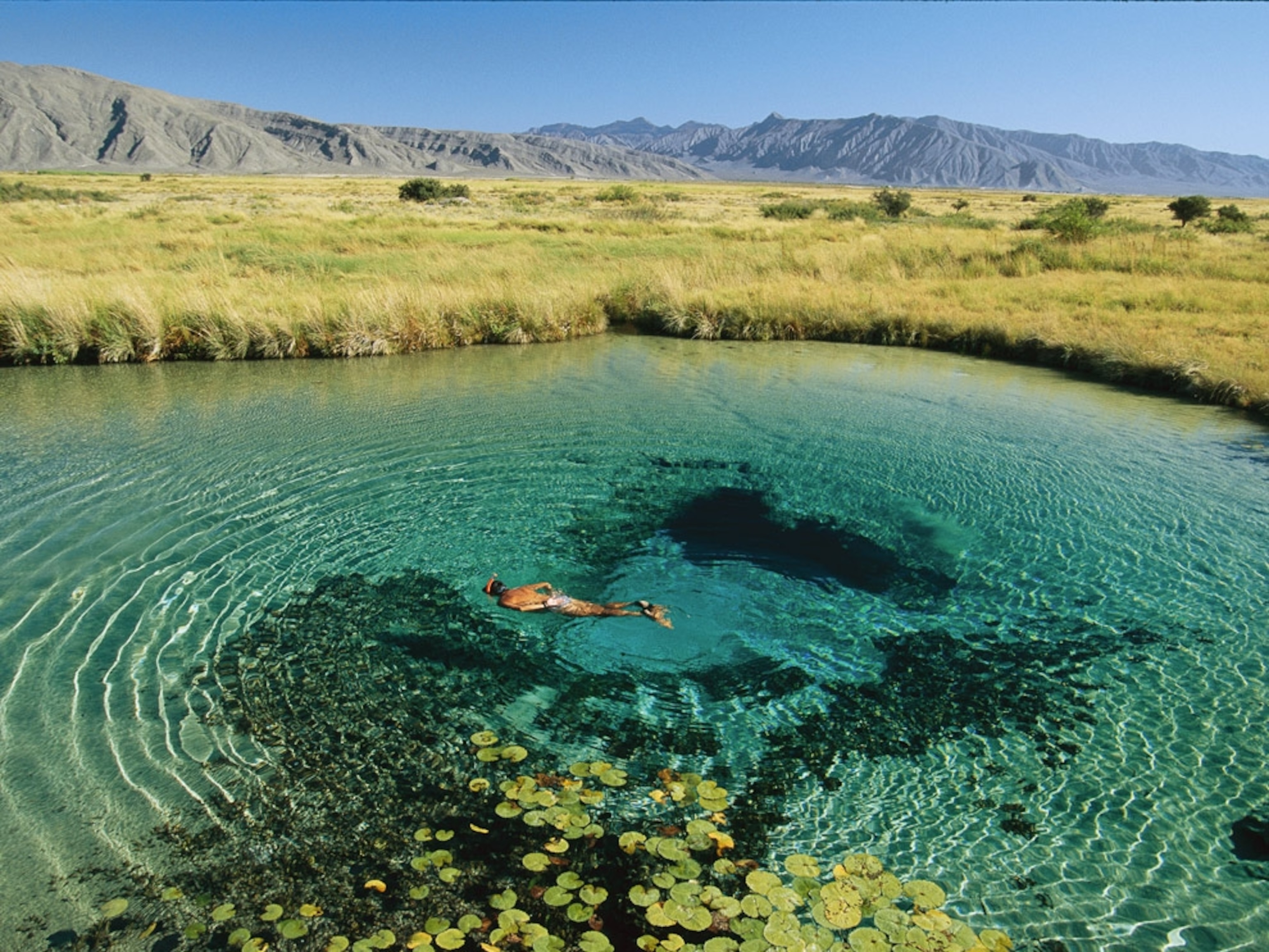 A snorkeler in a shallow desert pool