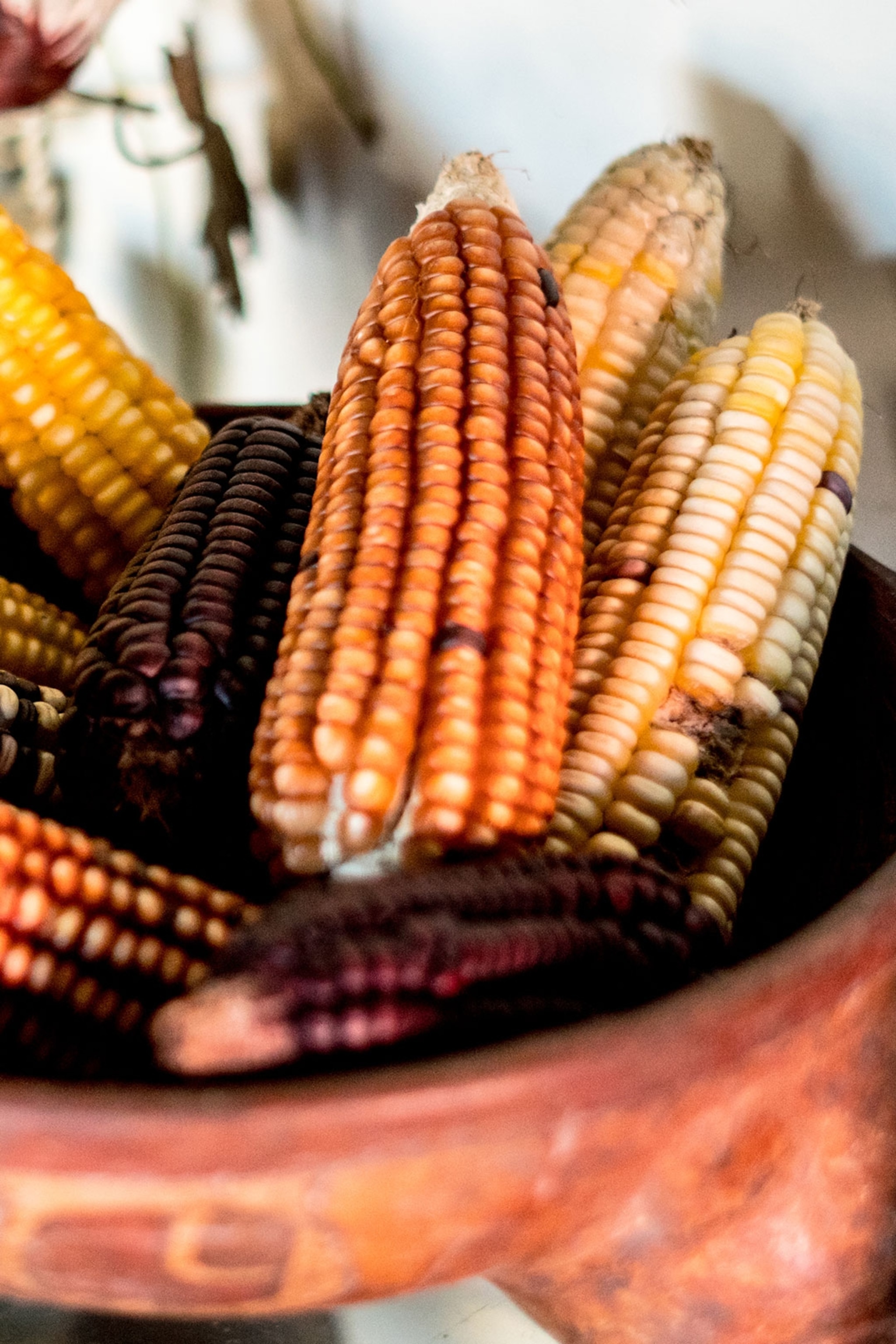 A close up of a dish of corn in El Salvador.